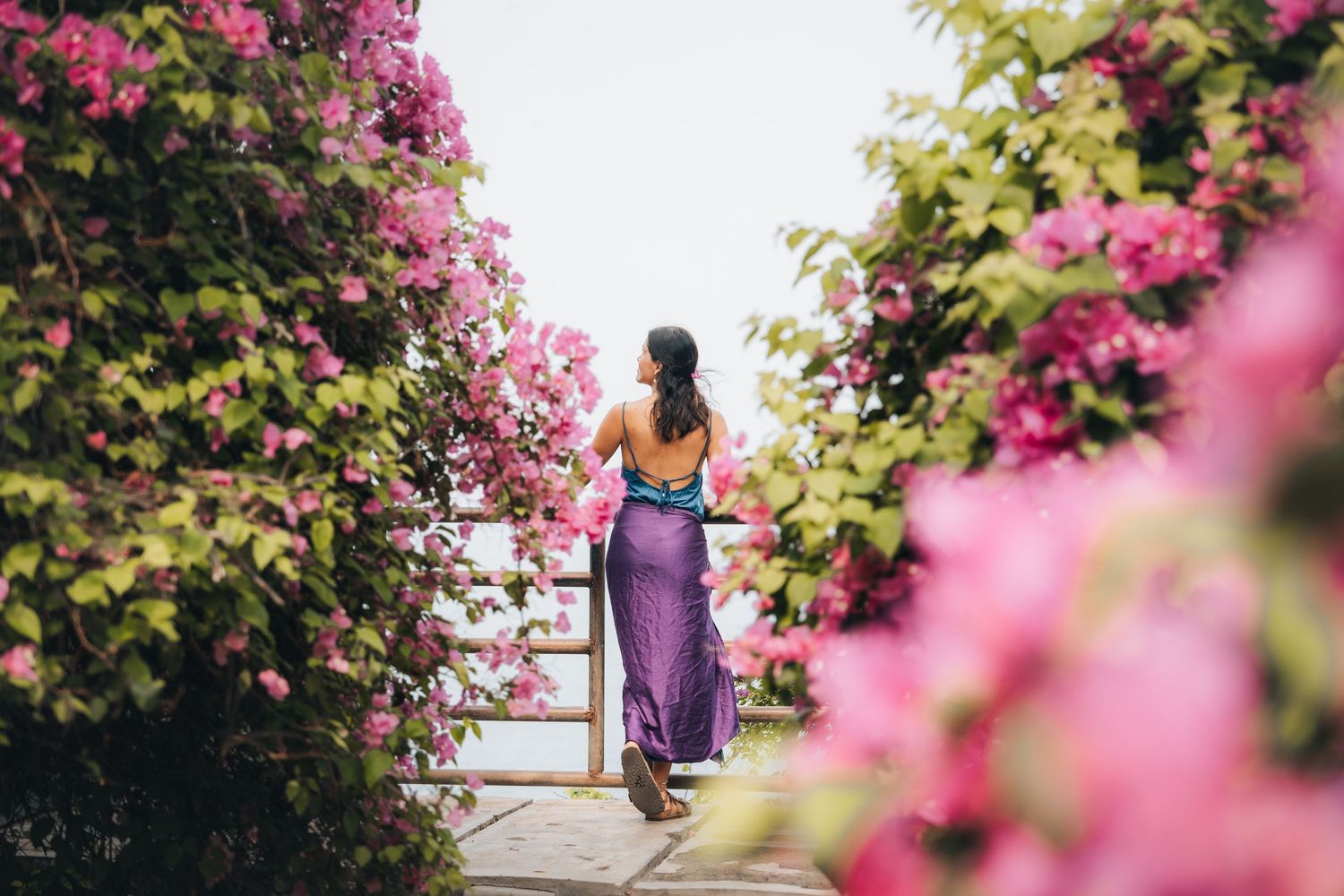 Pink bougainvillea flowers frame a walkway in tropical garden setting.