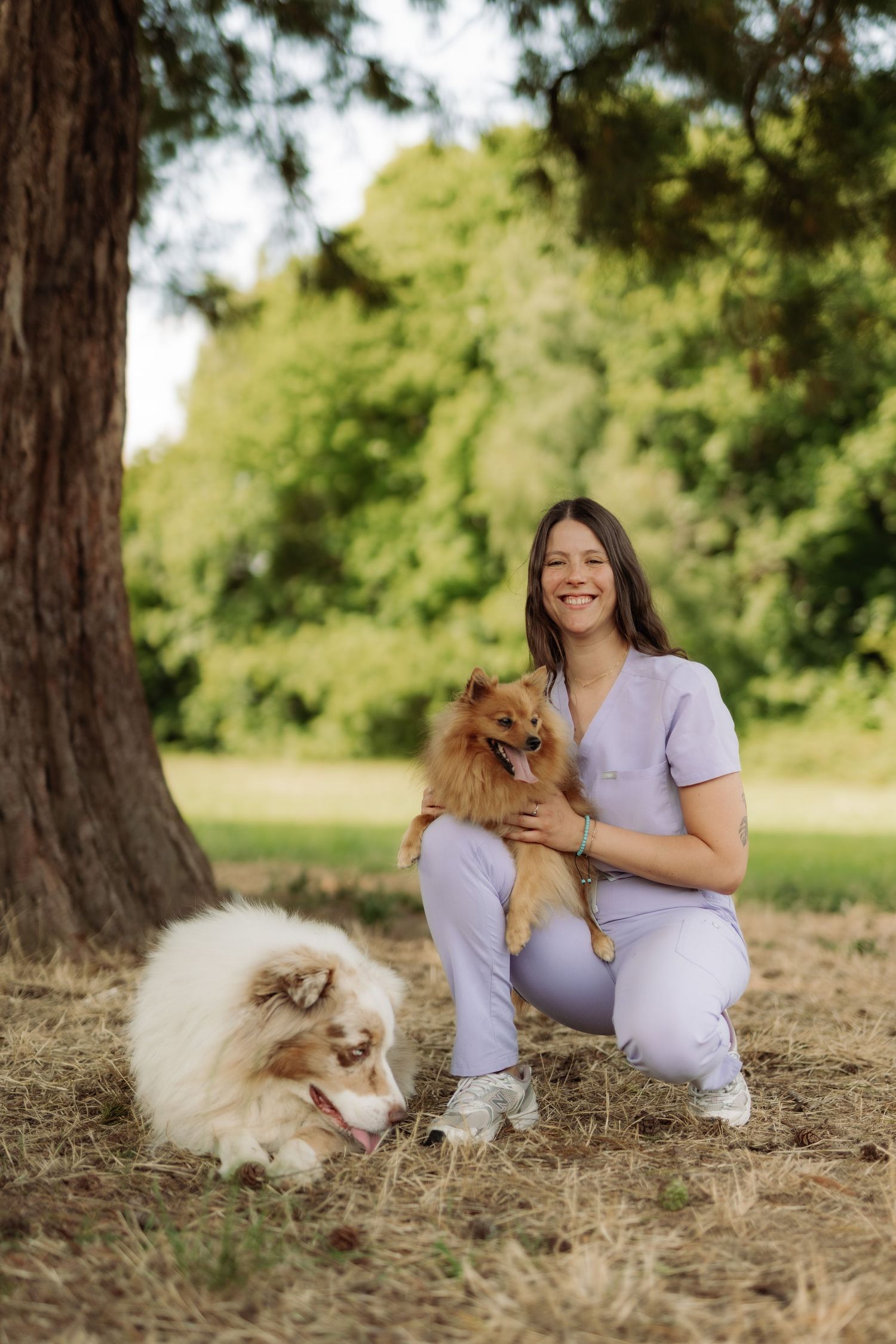A veterinarian playing with dogs in a park