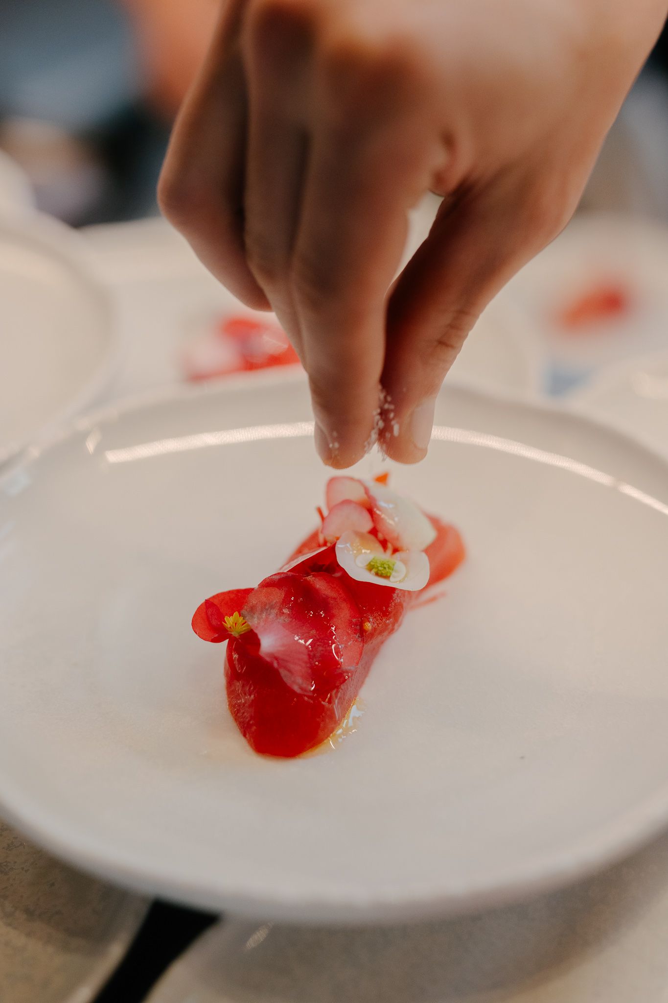 A cook plating a starter at a gastronomic restaurant
