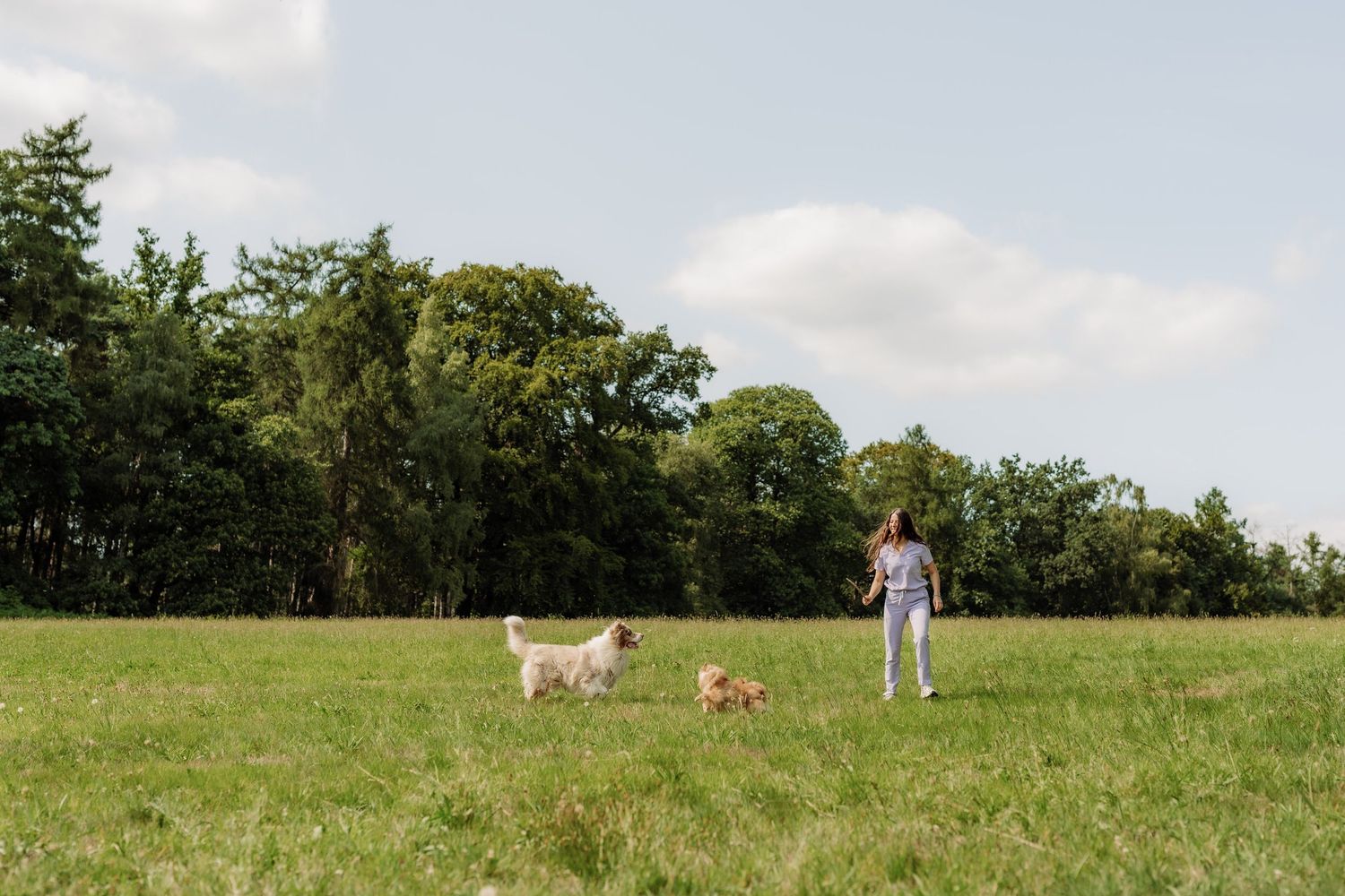 A vet playing with dogs in a park