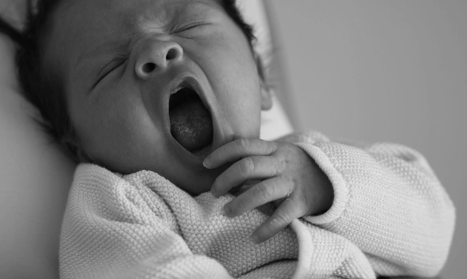 Newbornshoot