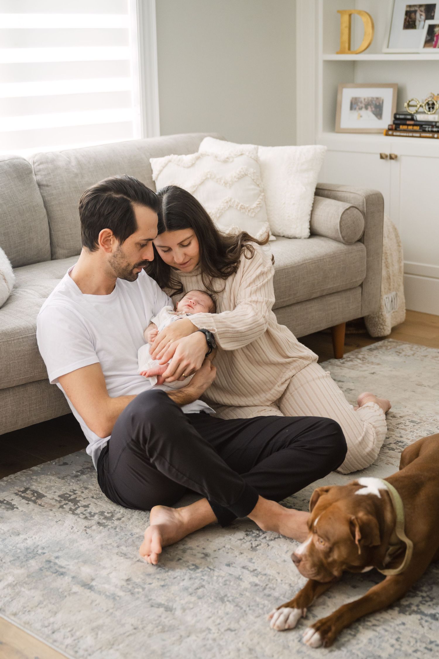 A couple sits on a rug holding their newborn baby beside a brown dog in a cozy living room.