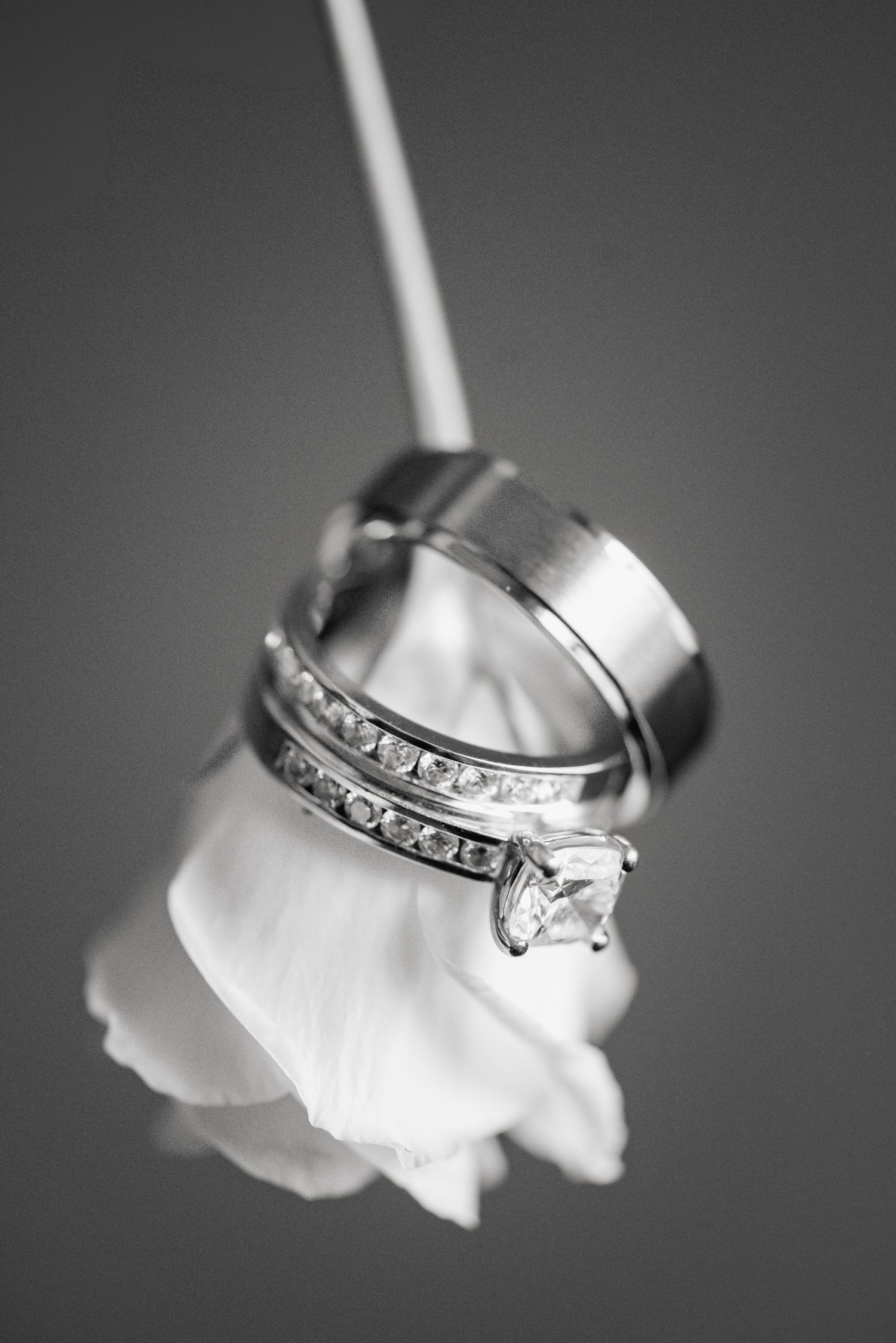 Close-up detail of engagement ring and wedding bands hanging from an upside-down rose, photographed by a Toronto wedding photographer.