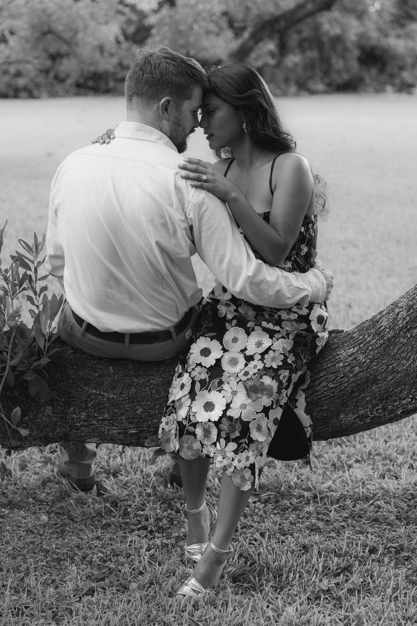 Black and white photo of a romantic couple sitting on a tree branch, touching foreheads in a lush green park.