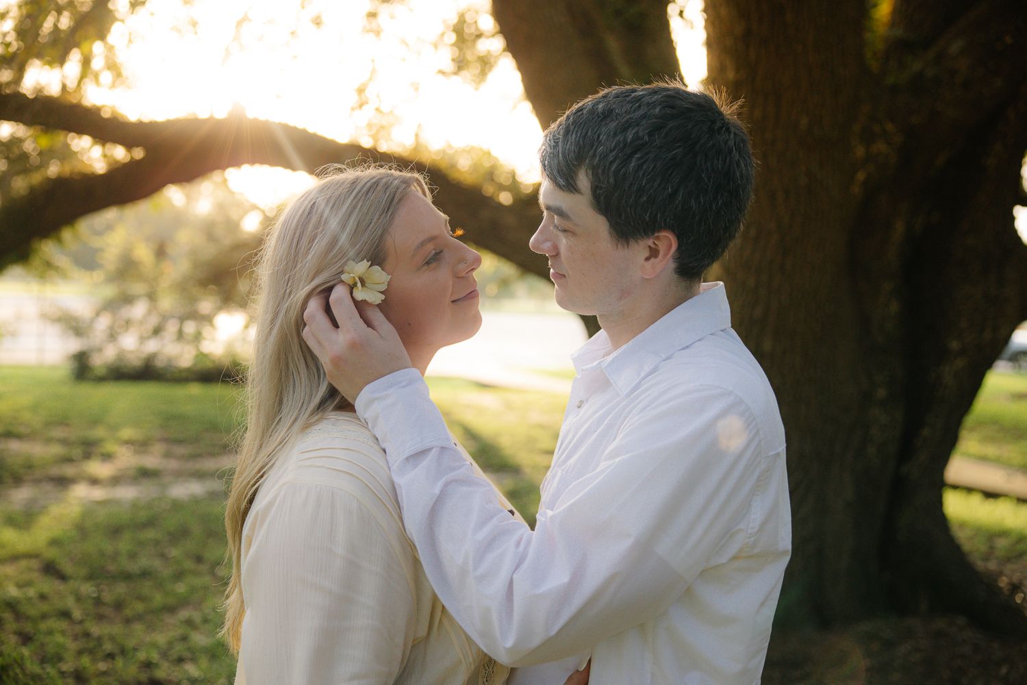 Romantic couple sharing tender moment under large oak tree at golden hour sunset.