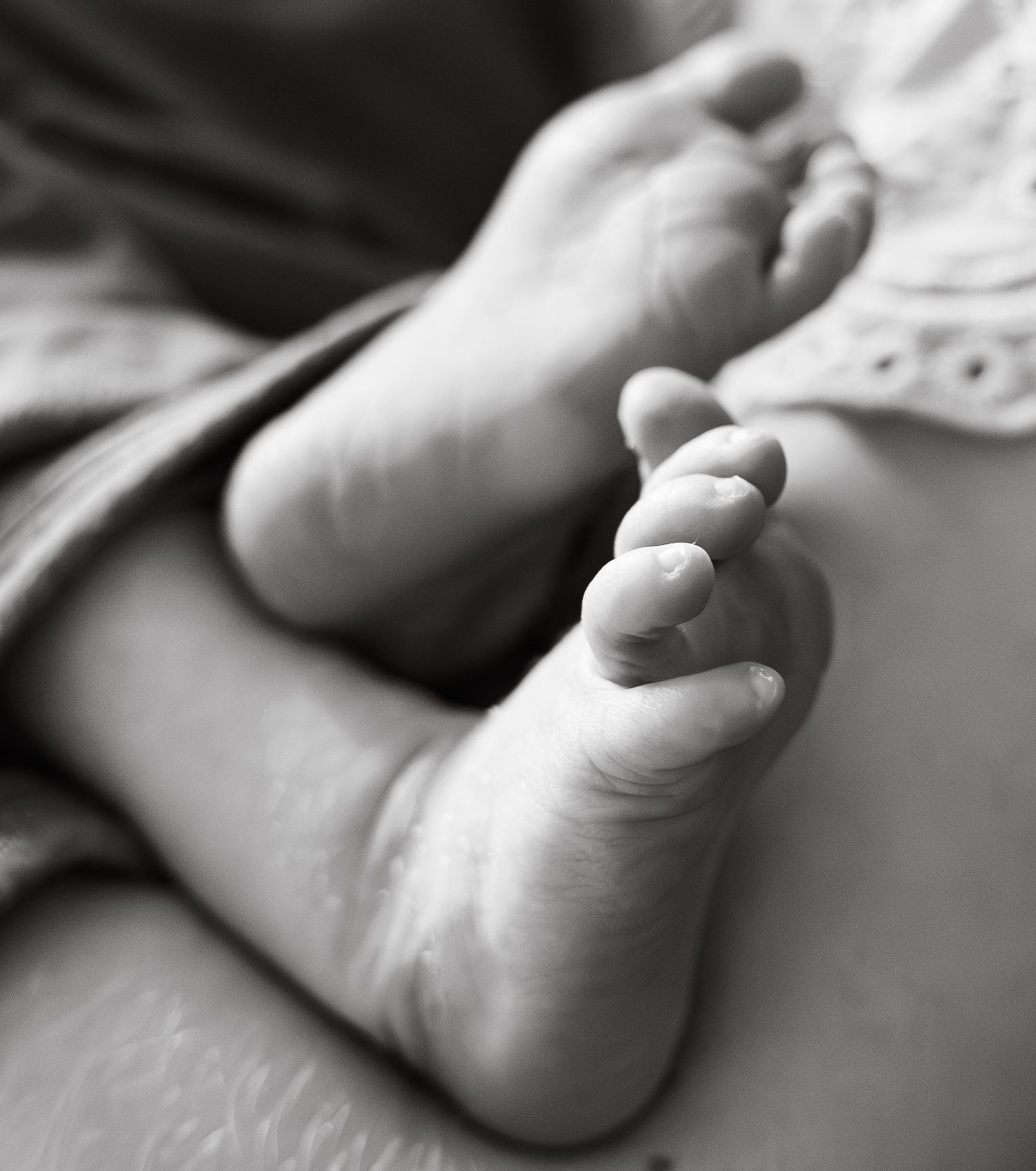 Black and white close-up of tiny newborn baby feet resting gently together.