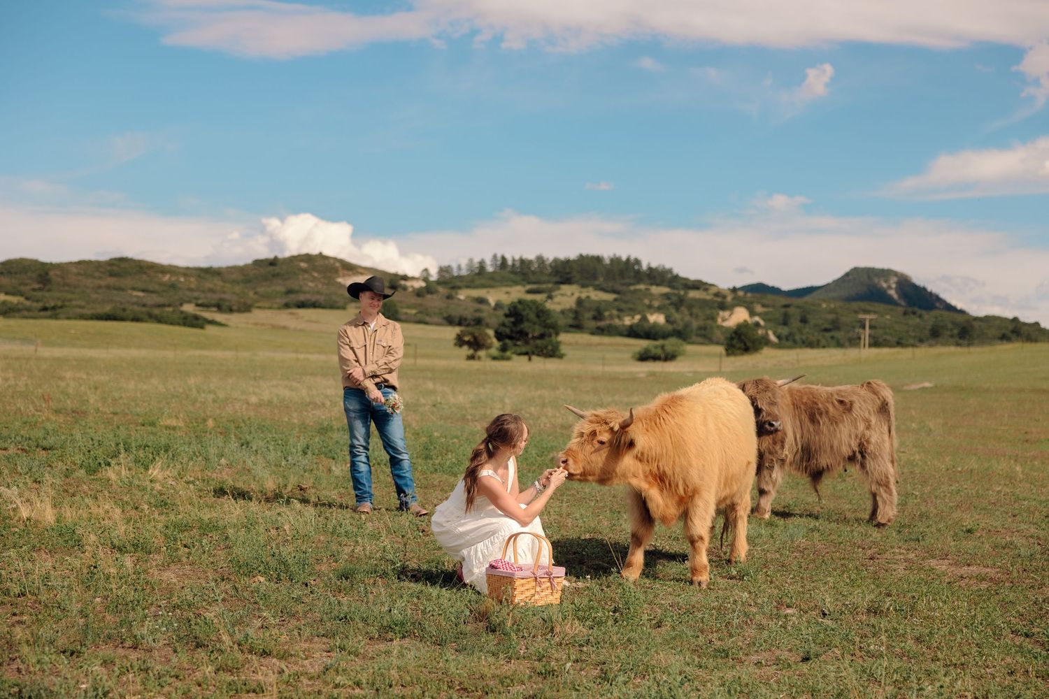 A woman feeds a Highland cow in a green meadow while a man watches, with rolling hills and blue sky behind them.
