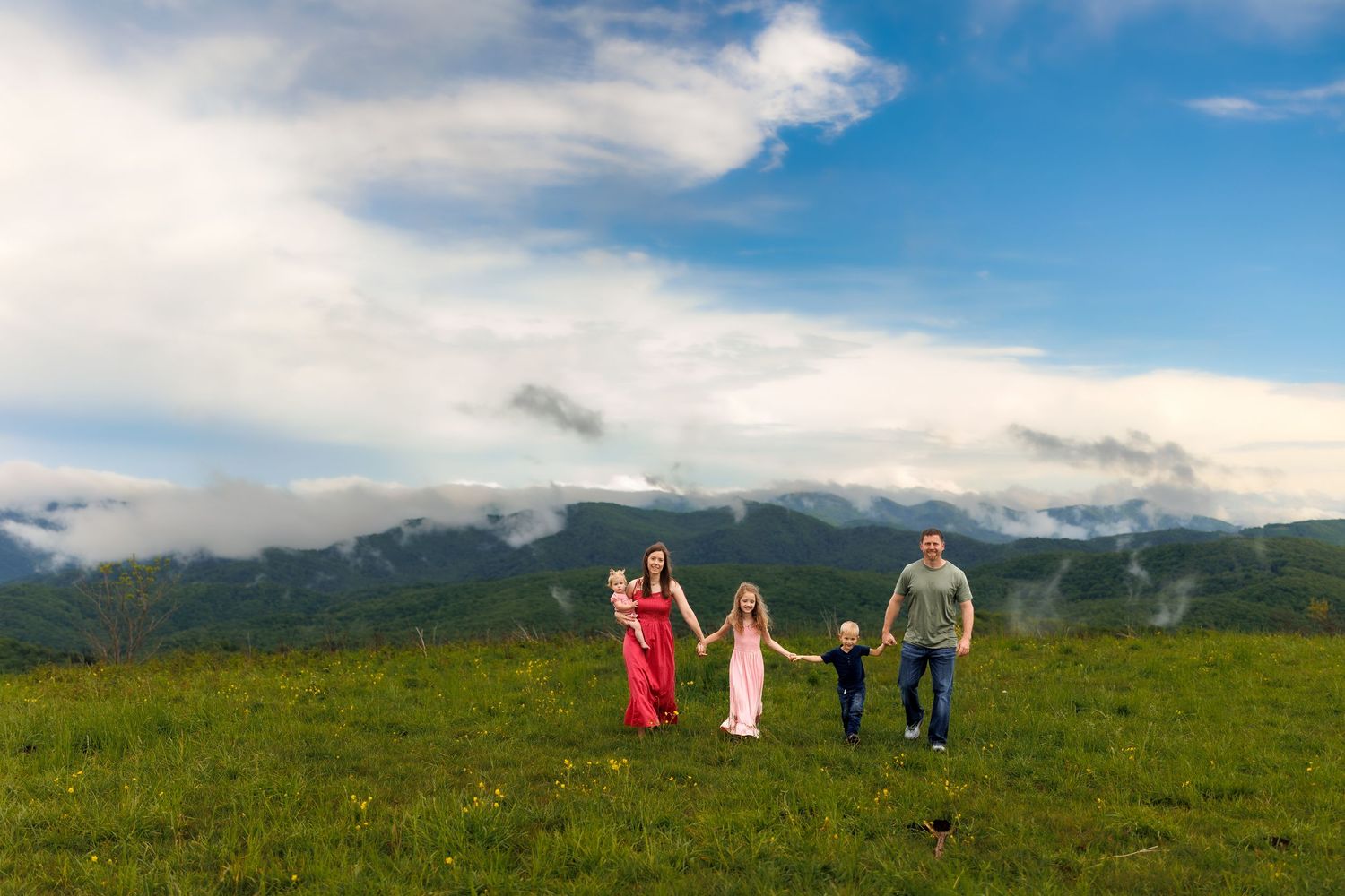 Family of four holding hands walking through green mountain meadow under blue sky with clouds.