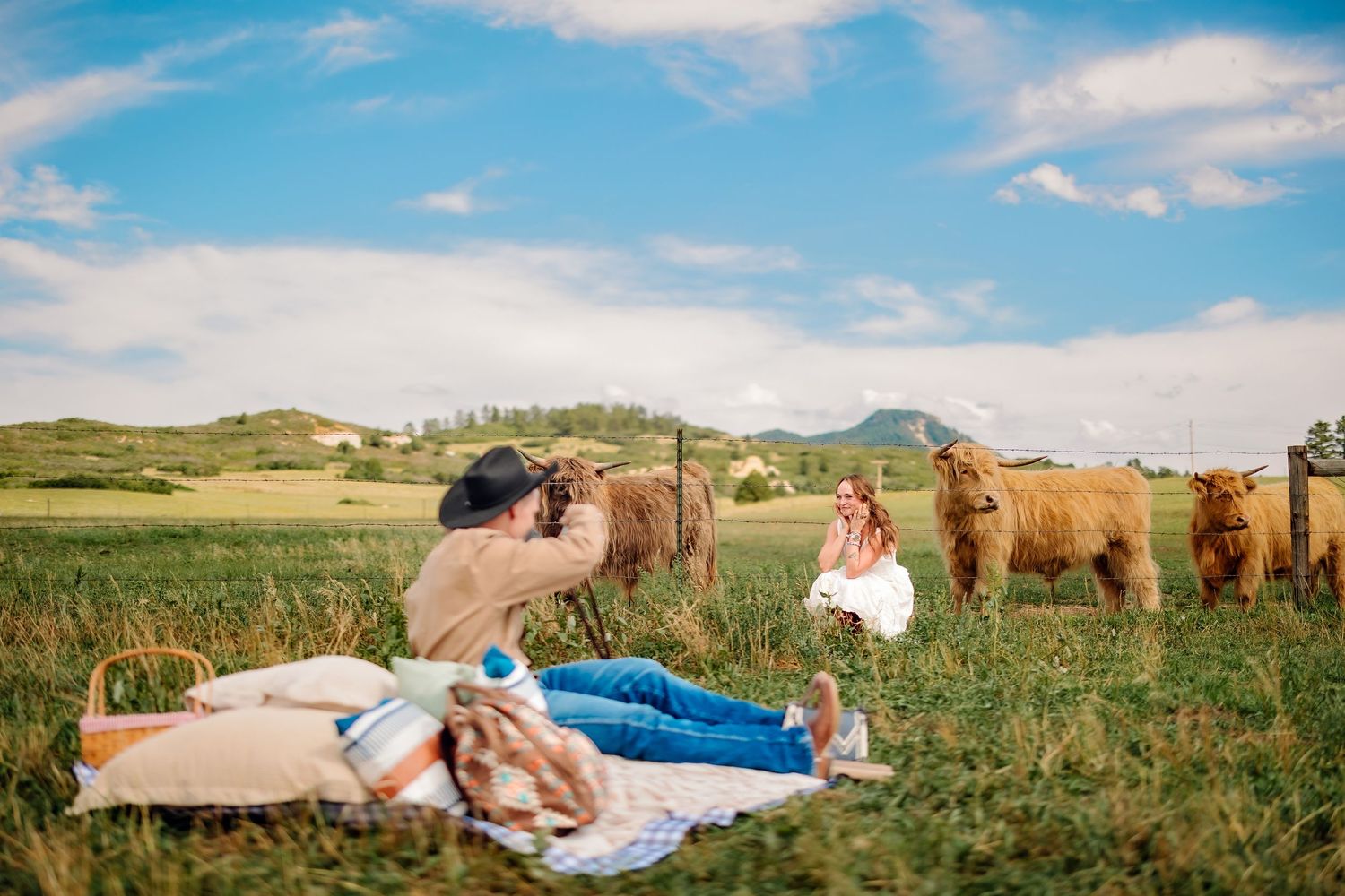 Couple enjoying a picnic on a blanket in a green field with Highland cattle grazing nearby under a blue sky.