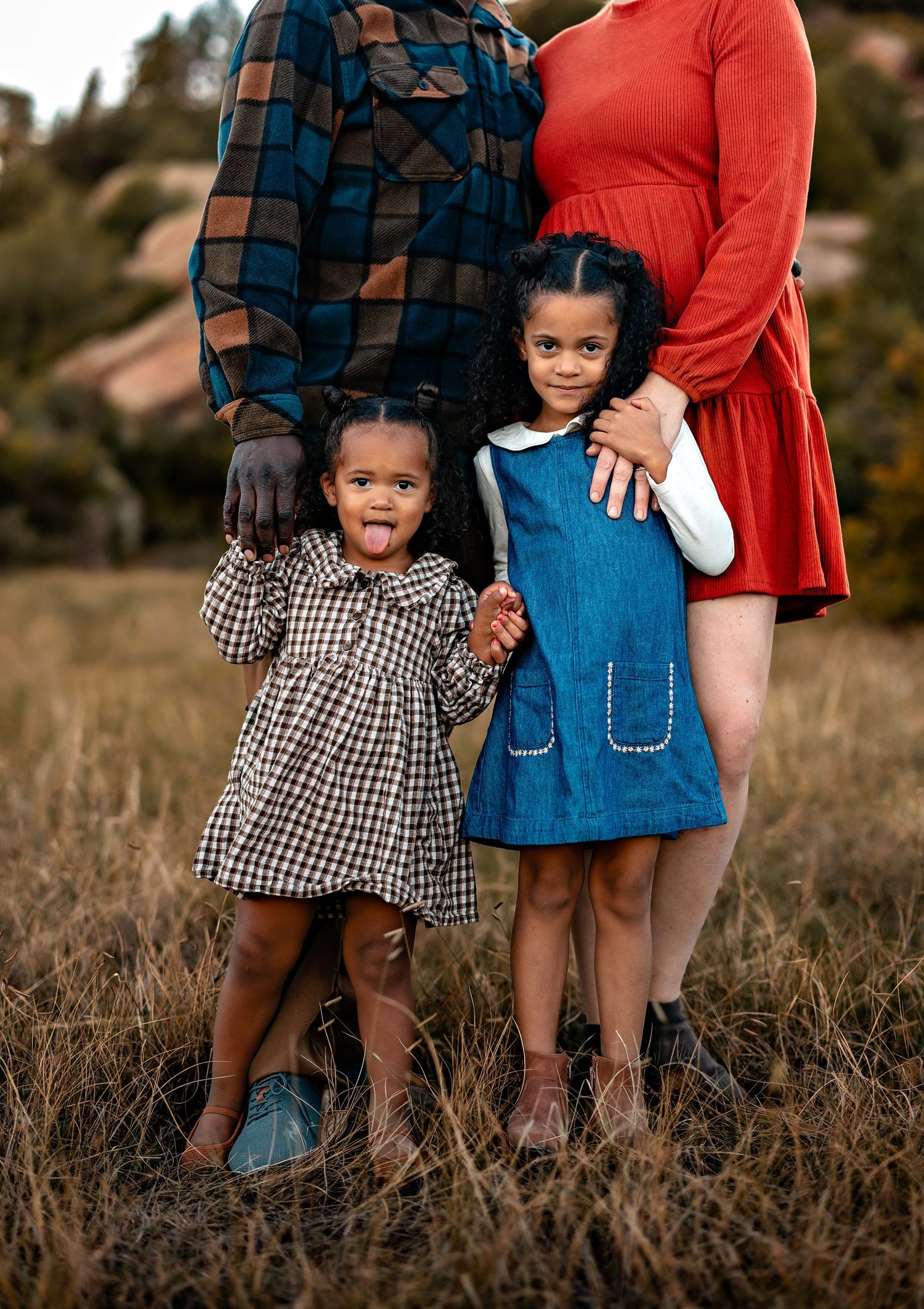 Two young girls in a plaid dress and a denim pinafore stand holding hands with two adults in a golden grassy field.