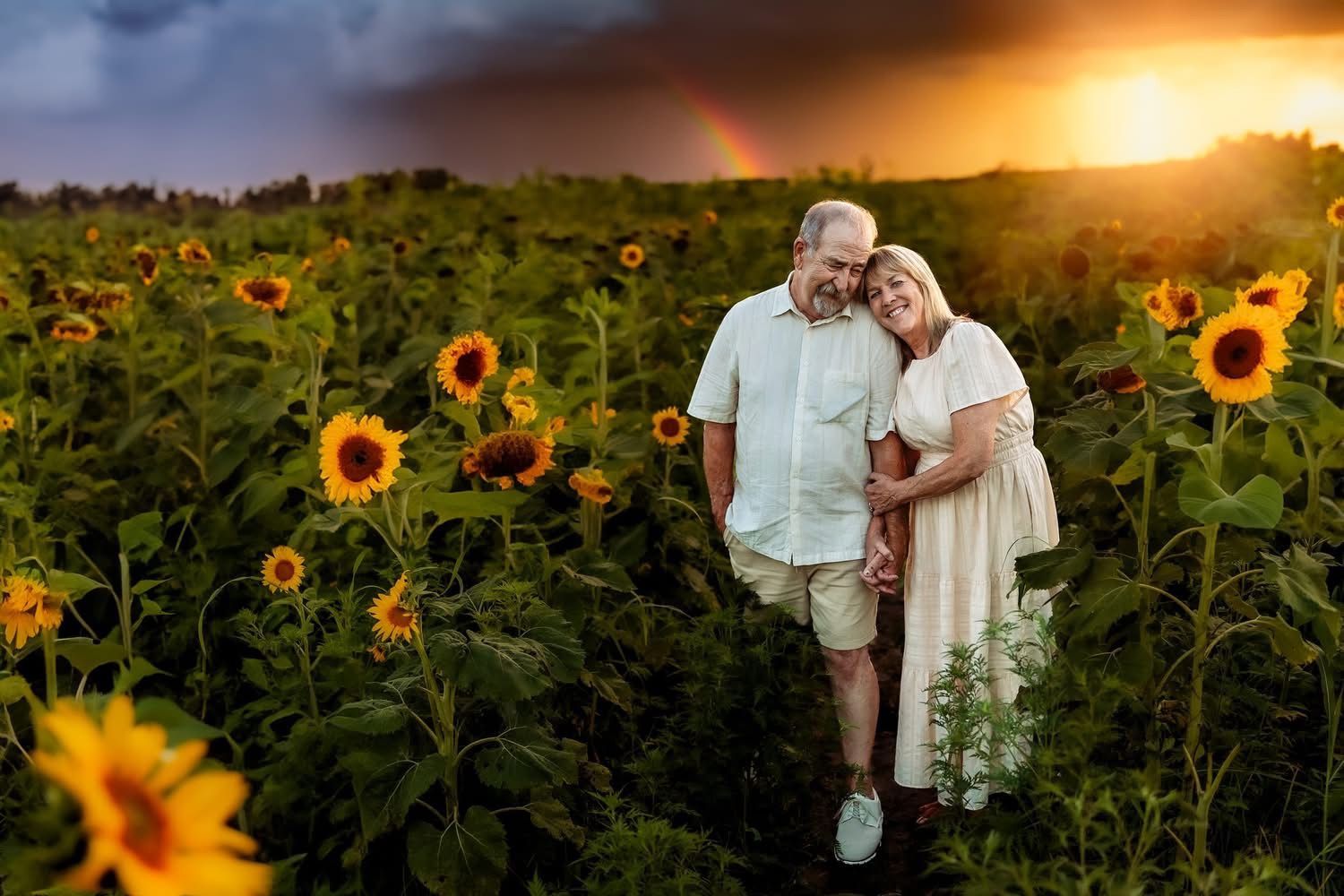 Couple embracing in sunflower field at golden sunset with rainbow, romantic outdoor portrait photography.