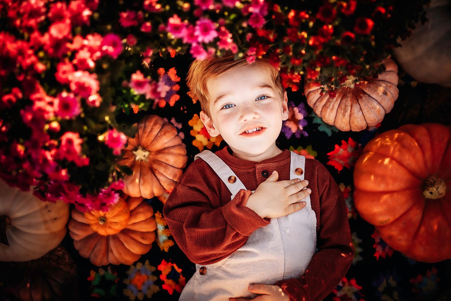 Smiling toddler in red sweater and overalls surrounded by colorful pumpkins and pink flowers in autumn setting.