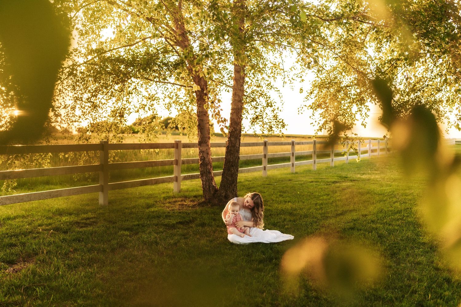 Couple sharing a romantic moment under a golden birch tree on green grass at sunset near a wooden fence.