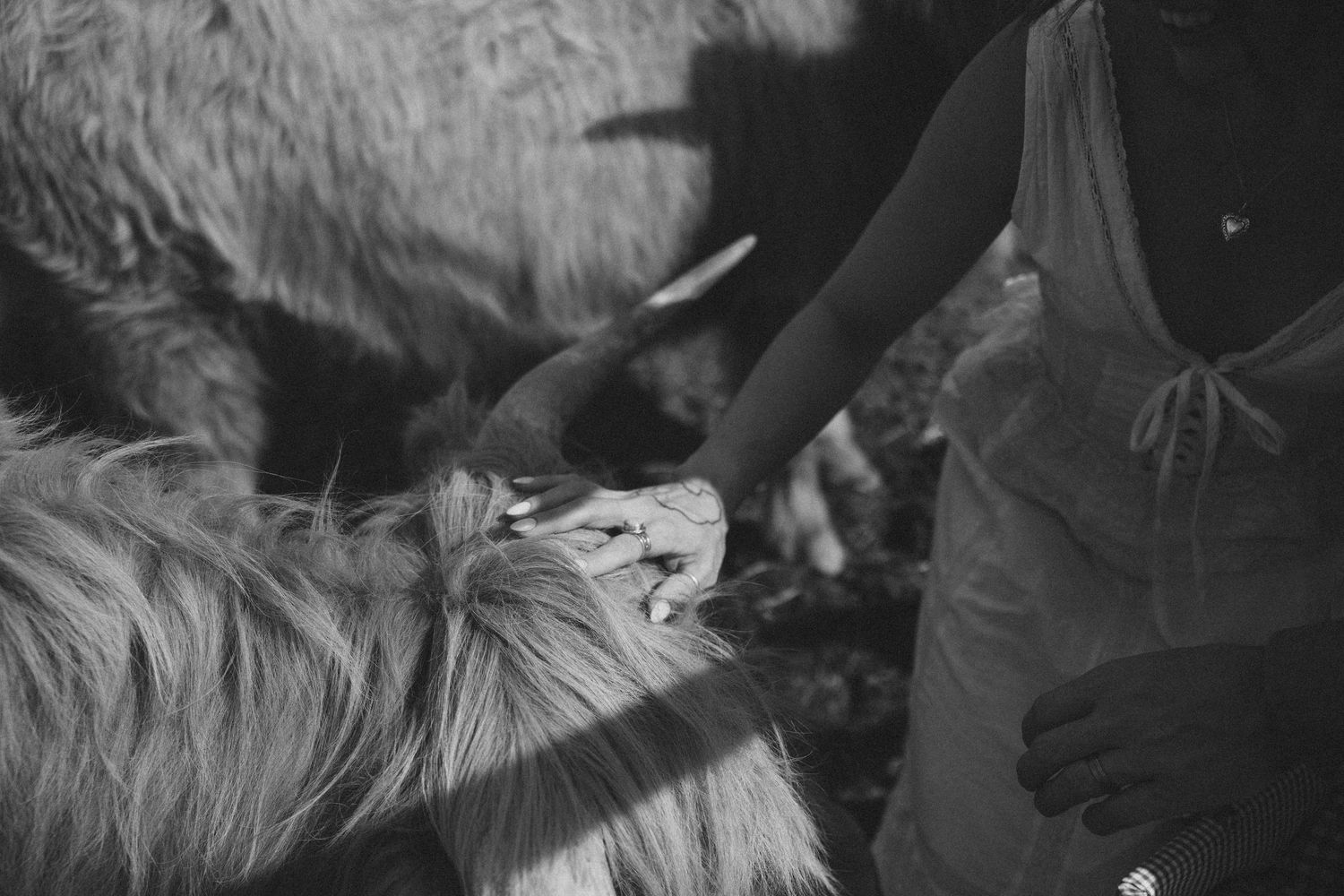 Black and white photo of a farmer hand-feeding a long-haired goat on a rural farm.