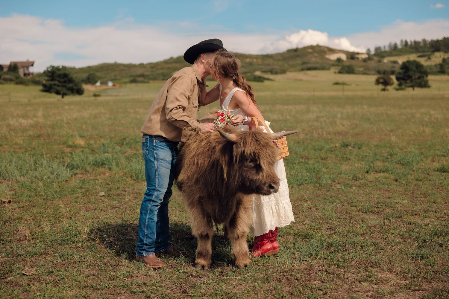 A cowboy and young girl in a white dress pet a fluffy Highland calf in a green pasture on a sunny day.