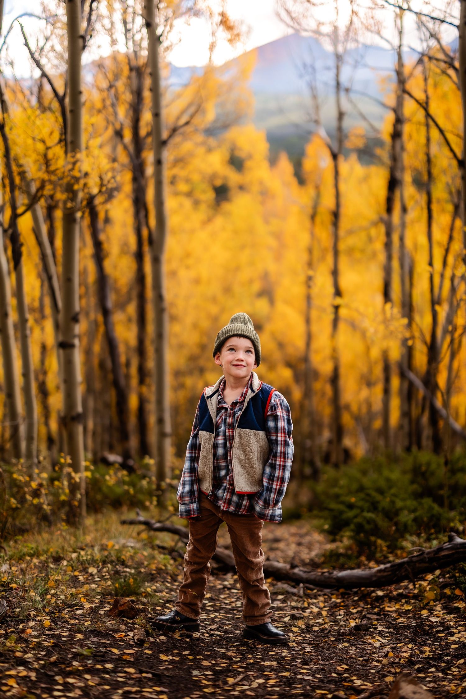 A young boy in plaid shirt and beanie stands on a forest trail surrounded by vibrant golden aspen trees in autumn.