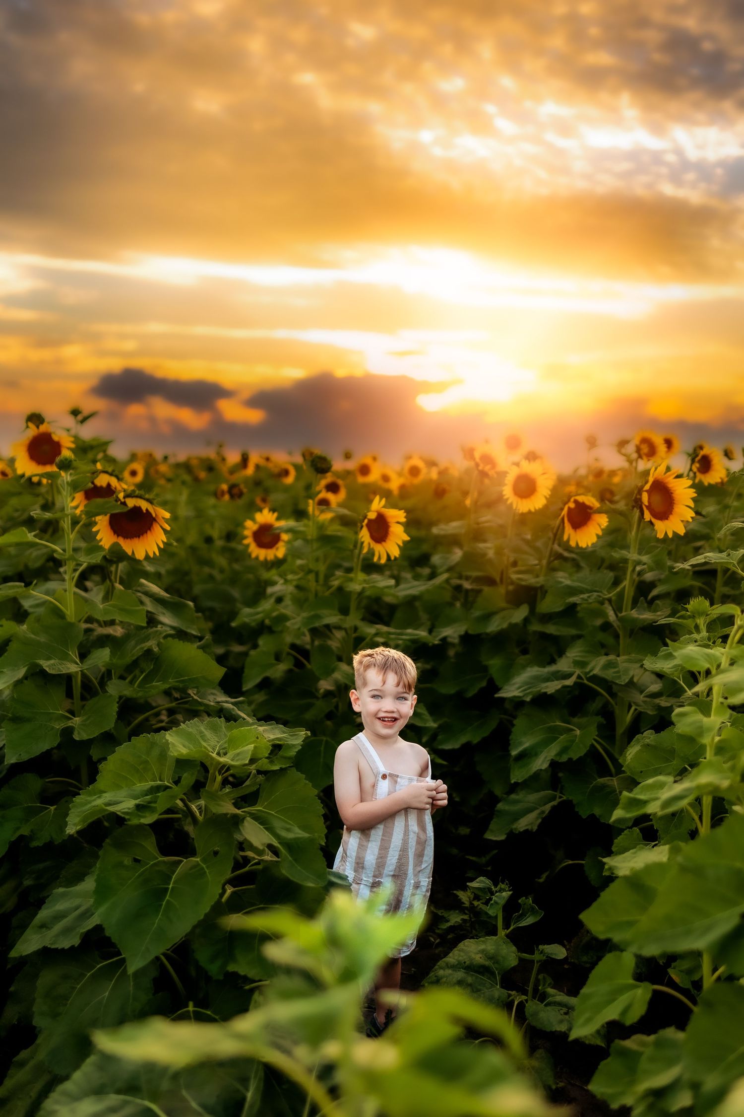 Young child smiling in a sunflower field at golden sunset, wearing striped overalls surrounded by blooming sunflowers.