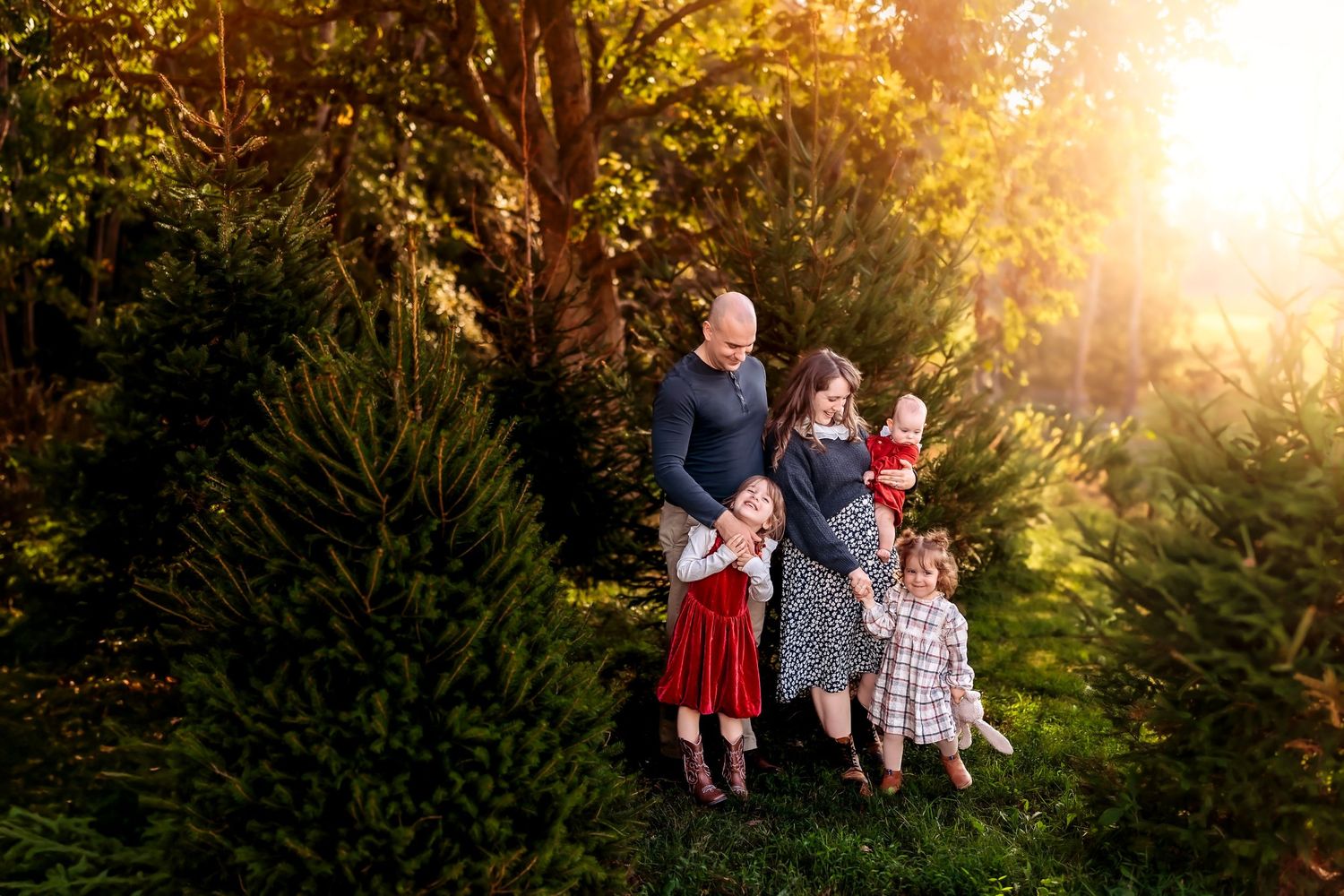 Family posing among lush Christmas trees at golden hour in a festive outdoor holiday photo session.