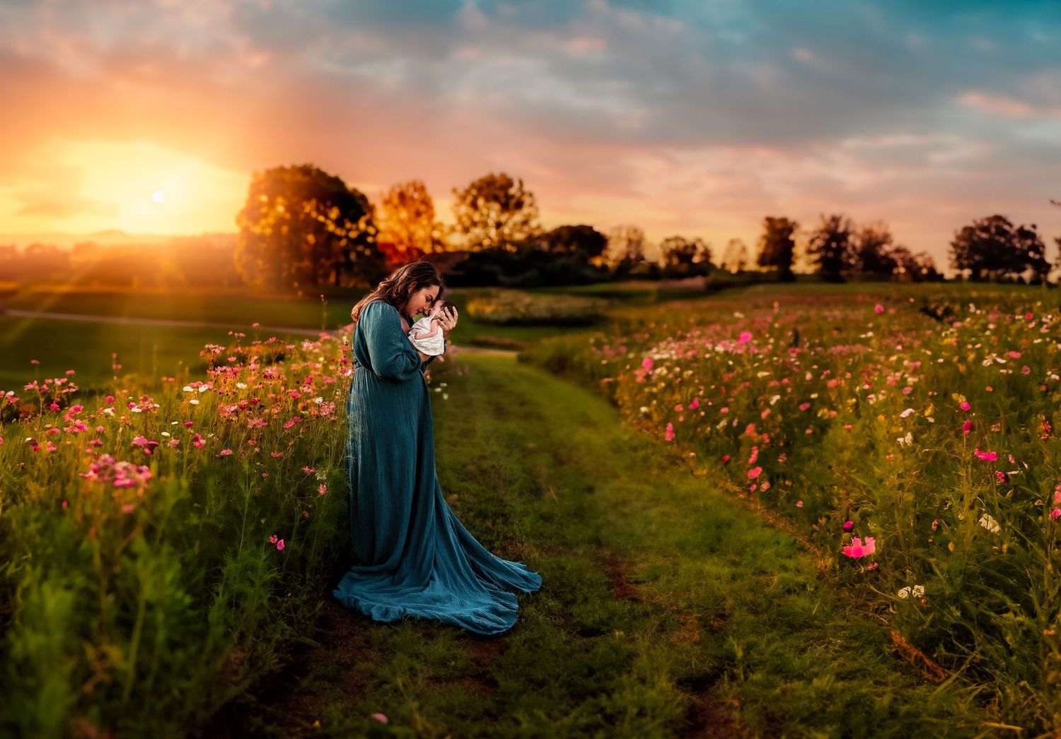 motherhood outdoor newborn photography in zinnia flower field at golden hour, sunset, Colorado family photographer.