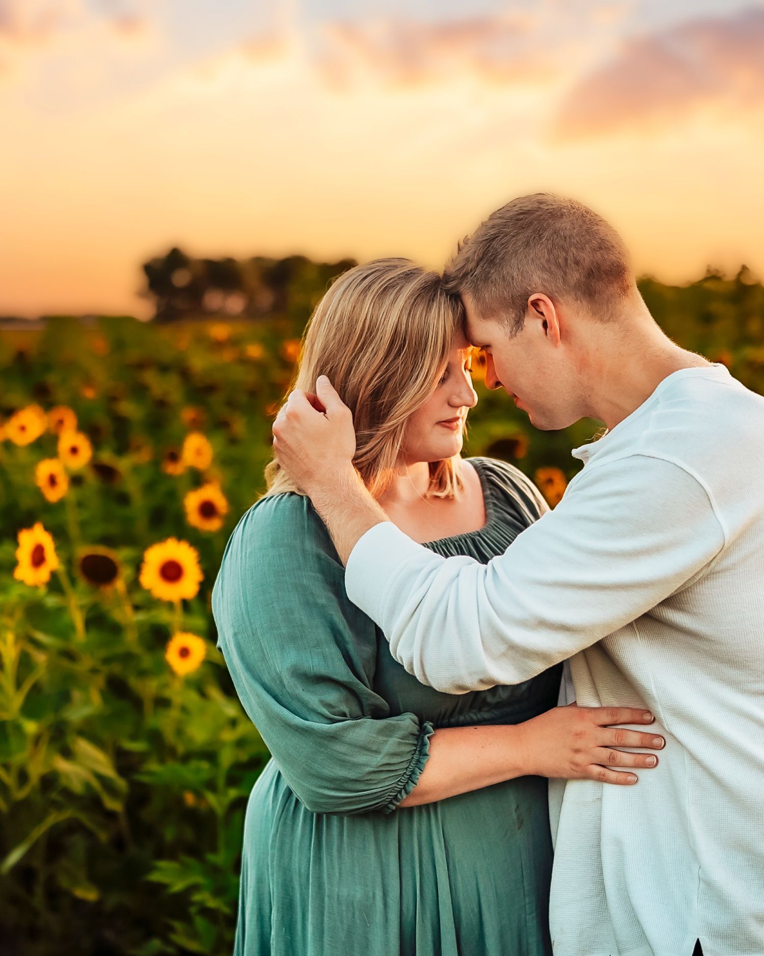 Couple embracing in a sunflower field at golden sunset, foreheads touching romantically.