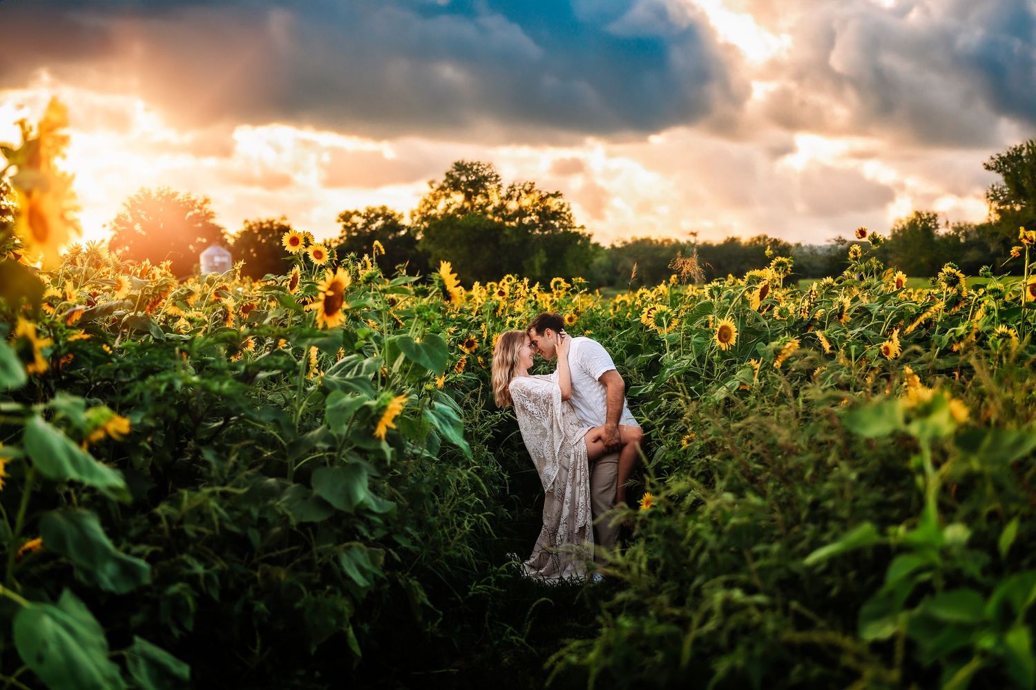 Couple kissing in a sunflower field at golden sunset with dramatic clouds in the background.