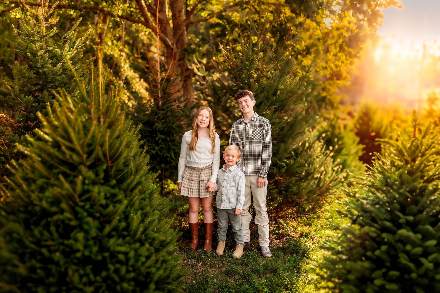 Family of three posing among lush green Christmas trees at a tree farm during golden hour sunset.