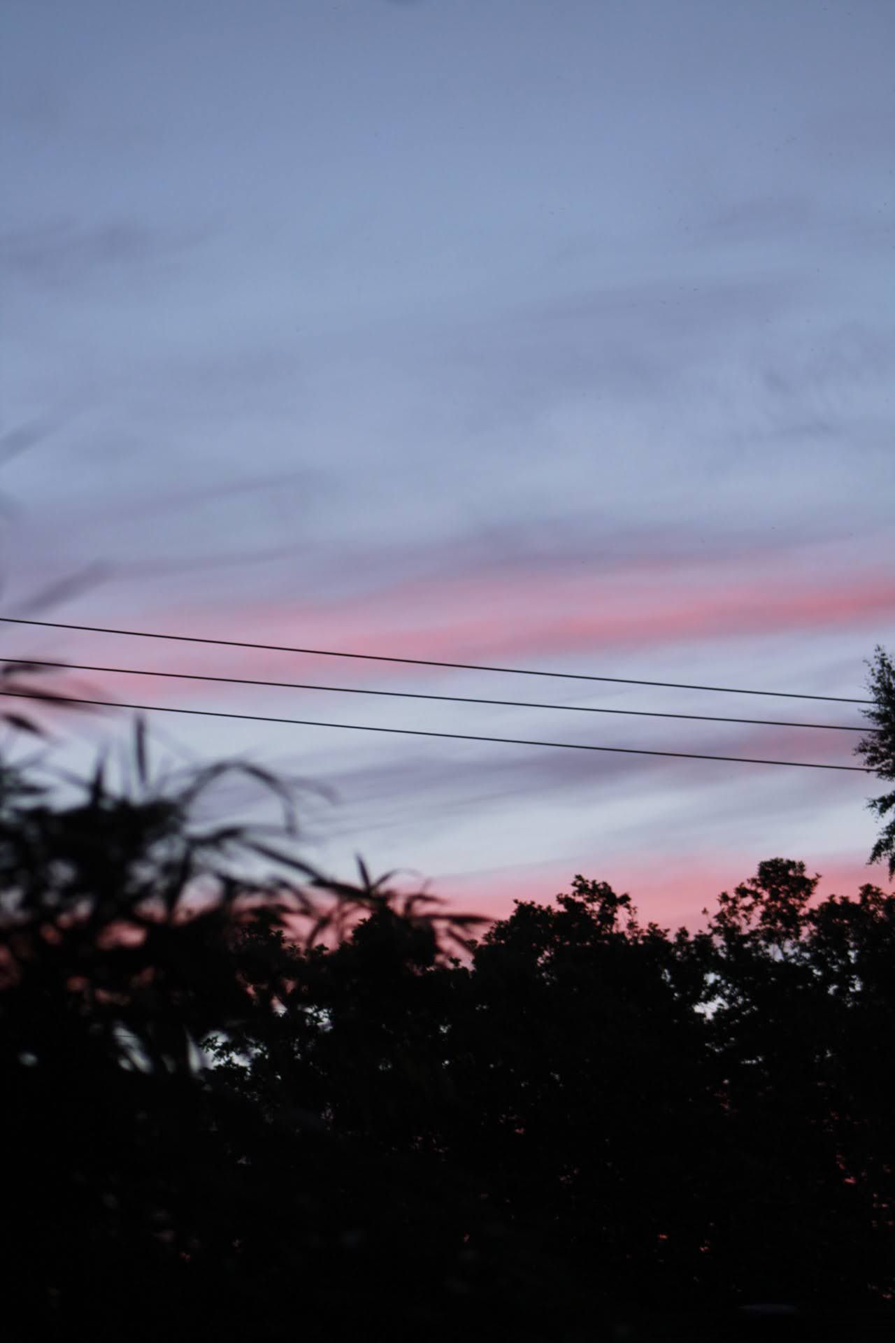 Silhouette of trees and power lines against a pink and blue sunset sky.