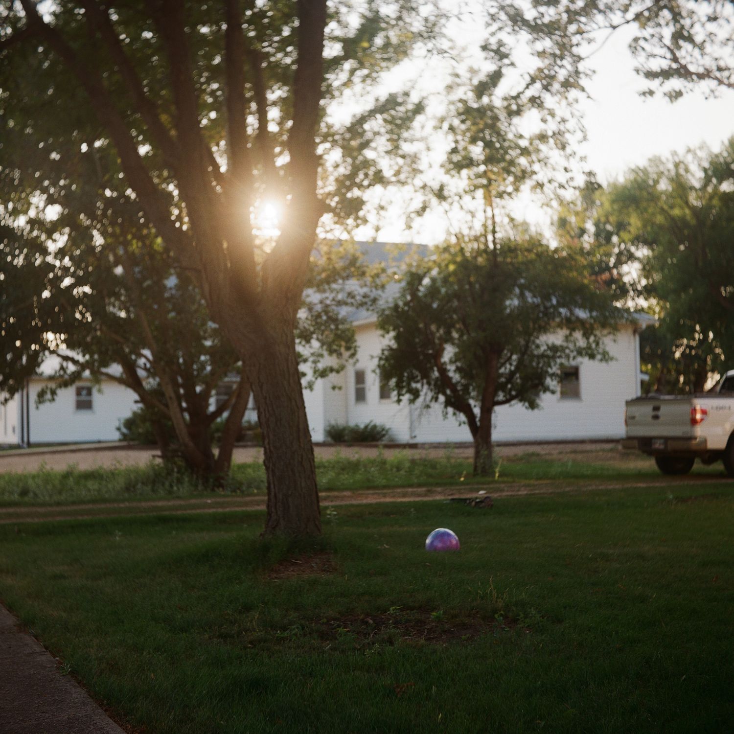 Golden sunset light filtering through trees in a quiet suburban neighborhood with a white house.