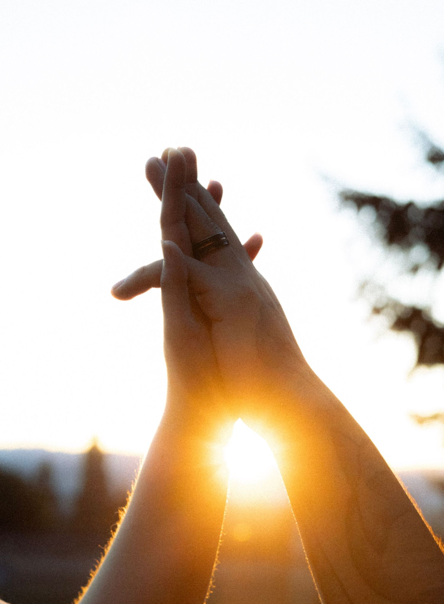 Two hands raised together at sunset, one wearing a ring, with golden sunlight glowing between intertwined fingers outdoors.