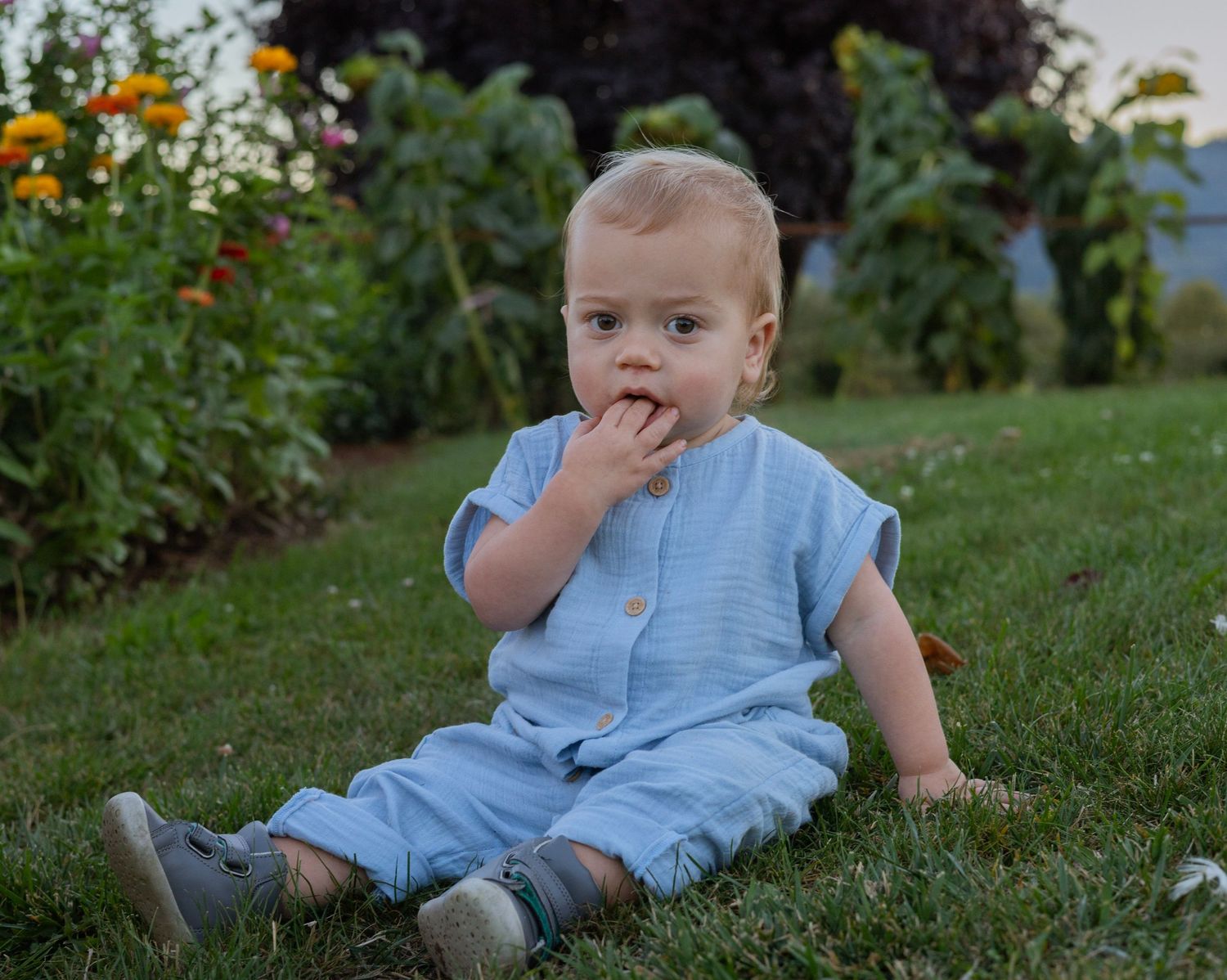 Adorable baby boy in blue romper sitting on green grass surrounded by colorful garden flowers.