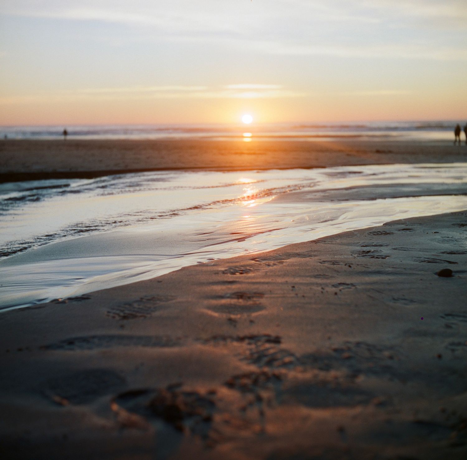 Golden sunset reflecting on wet sand at a peaceful beach with silhouetted figures.