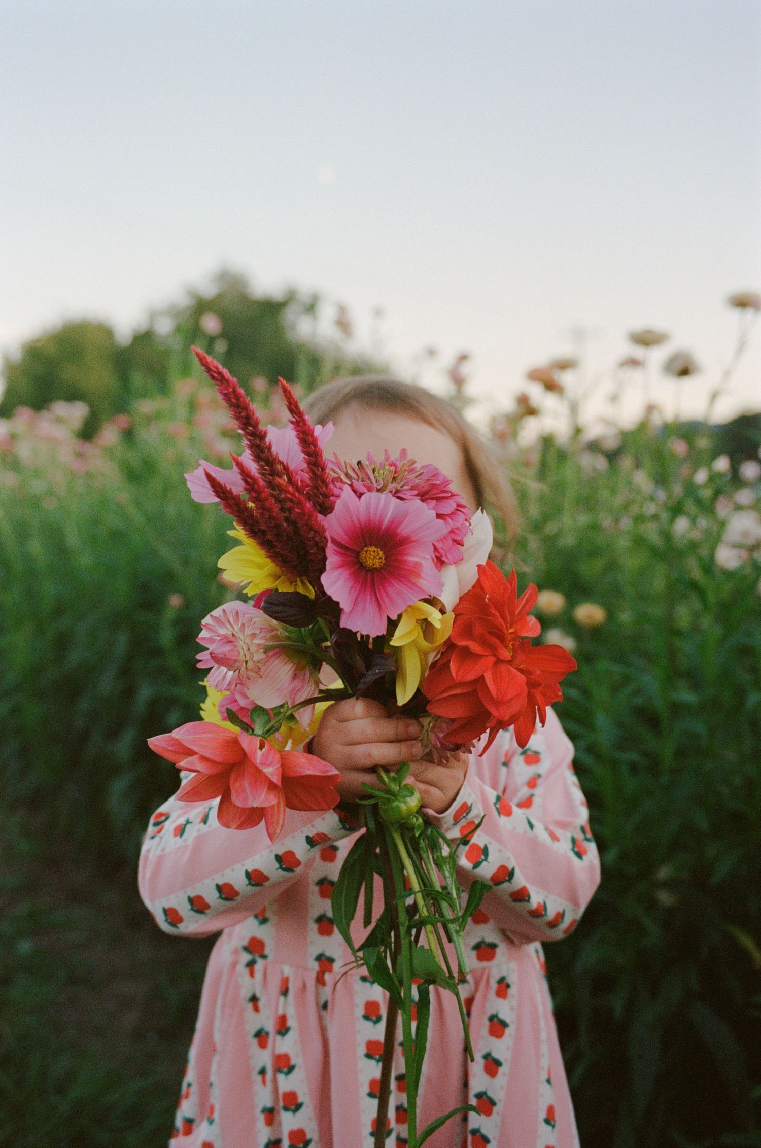 A young girl in a pink floral dress holds a vibrant bouquet of mixed flowers in a blooming garden field.