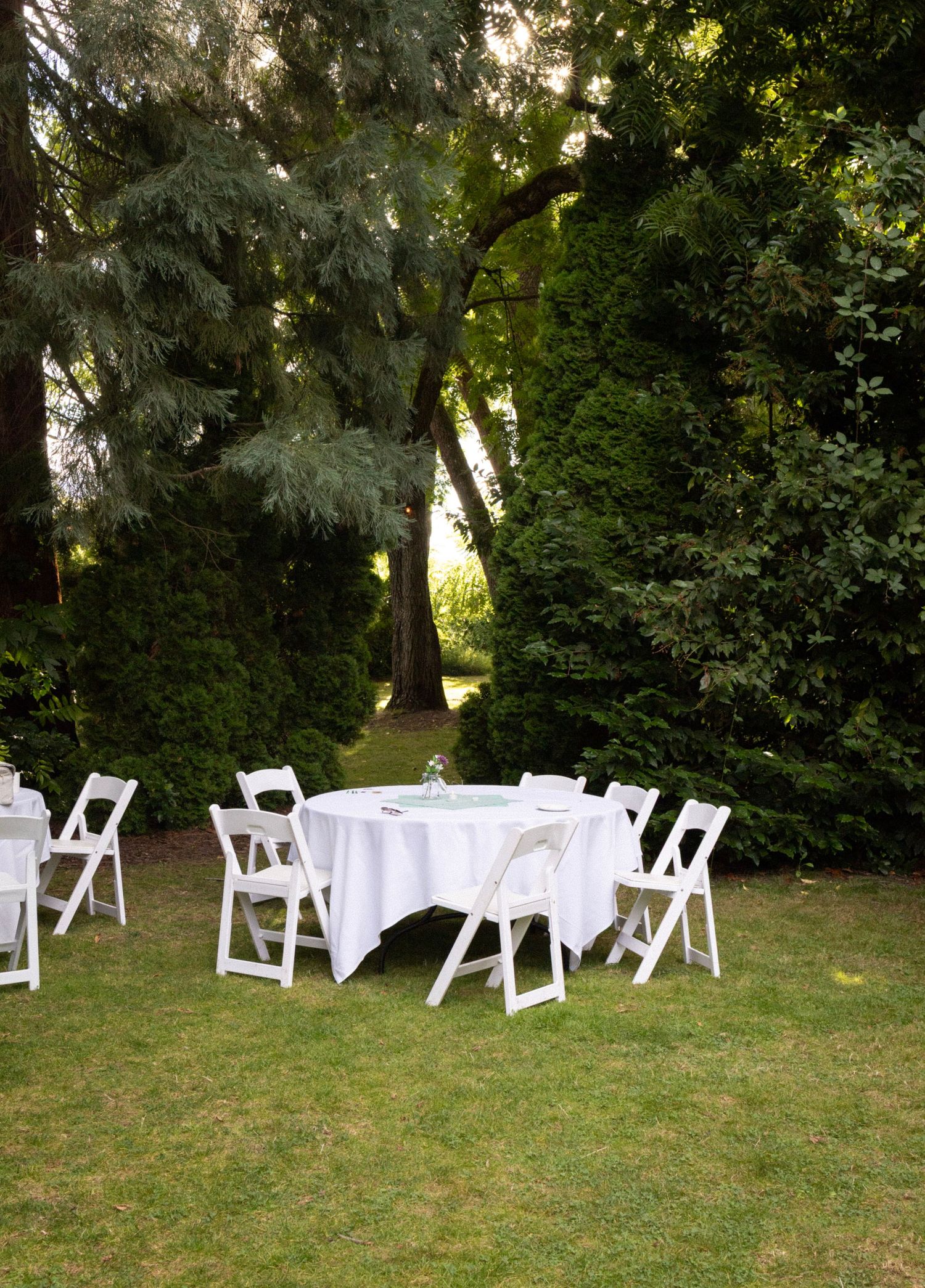 Elegant outdoor wedding reception setup with white round tables and folding chairs on a green lawn surrounded by trees.