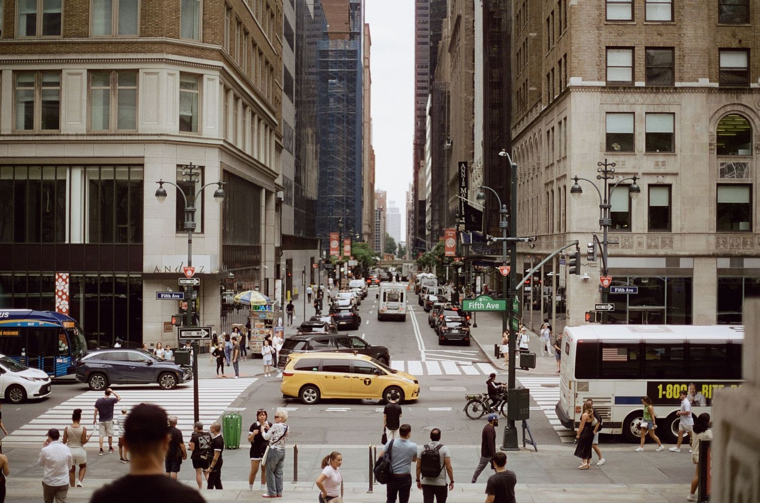 Pedestrians fill the frame in heavy traffic nyc, just outside the new york public library.