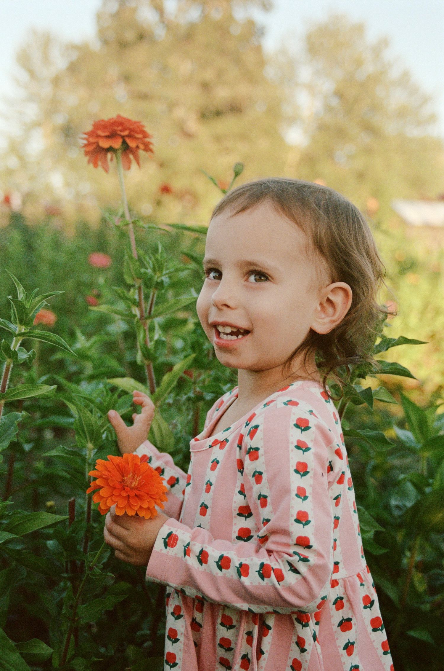 A smiling toddler girl in a floral dress holds an orange zinnia in a lush garden filled with blooming flowers.