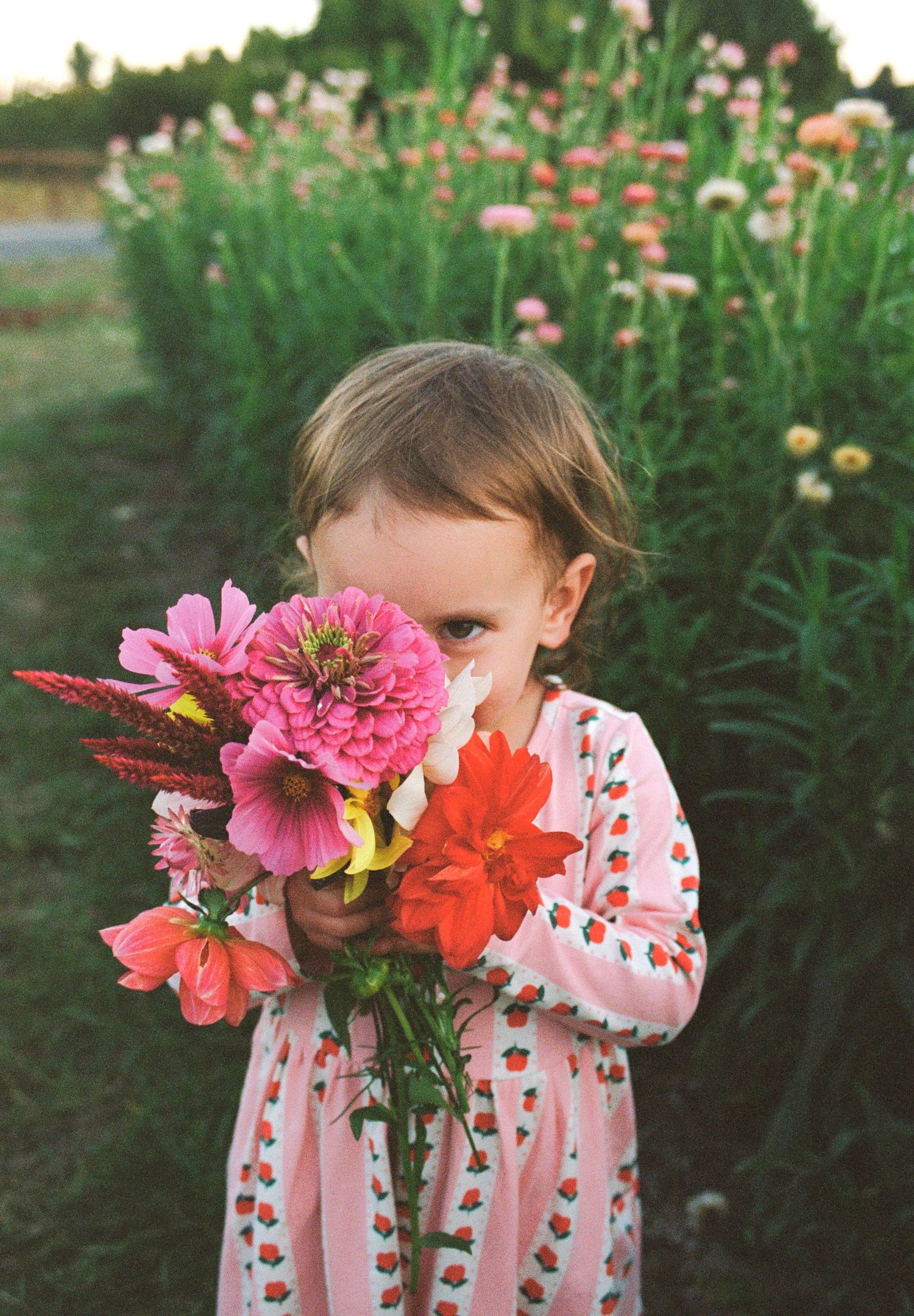 Young girl in floral dress holding a bouquet of pink and red flowers in a garden field.