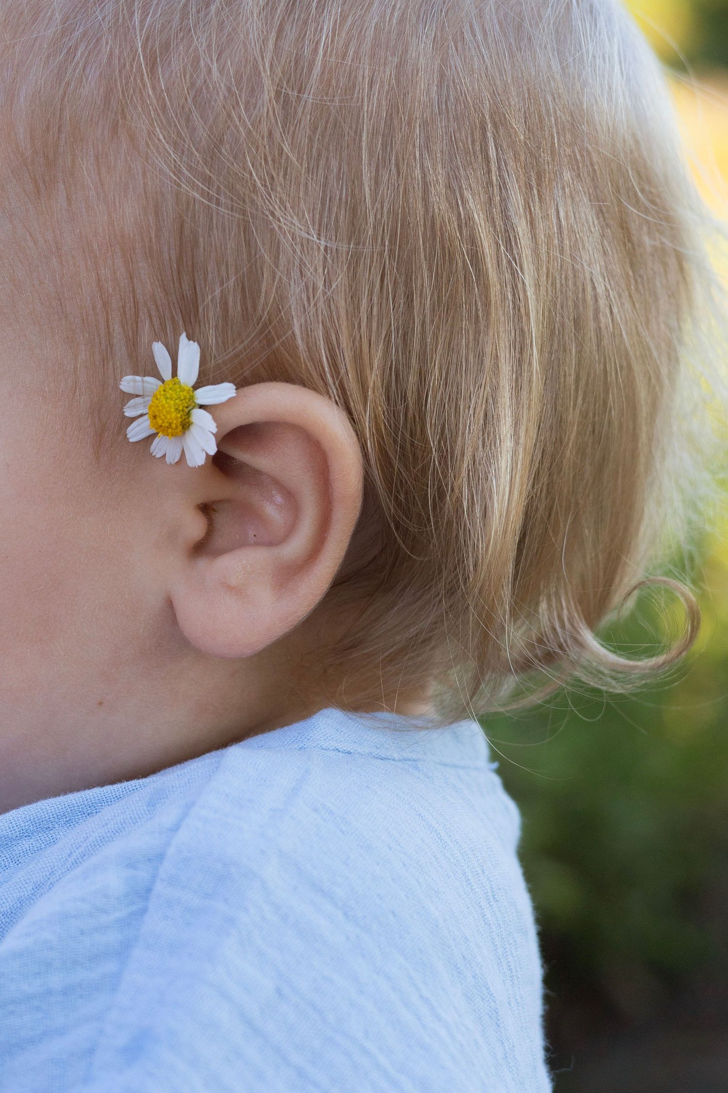 Close-up of a young child's ear with a small white daisy flower tucked behind it, with blonde hair visible.