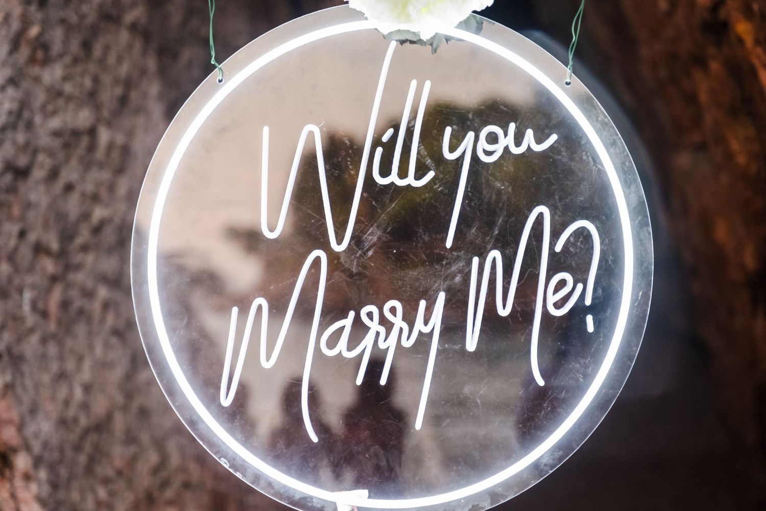 Neon sign reading Will you Marry Me displayed in circular frame with white flower decoration.