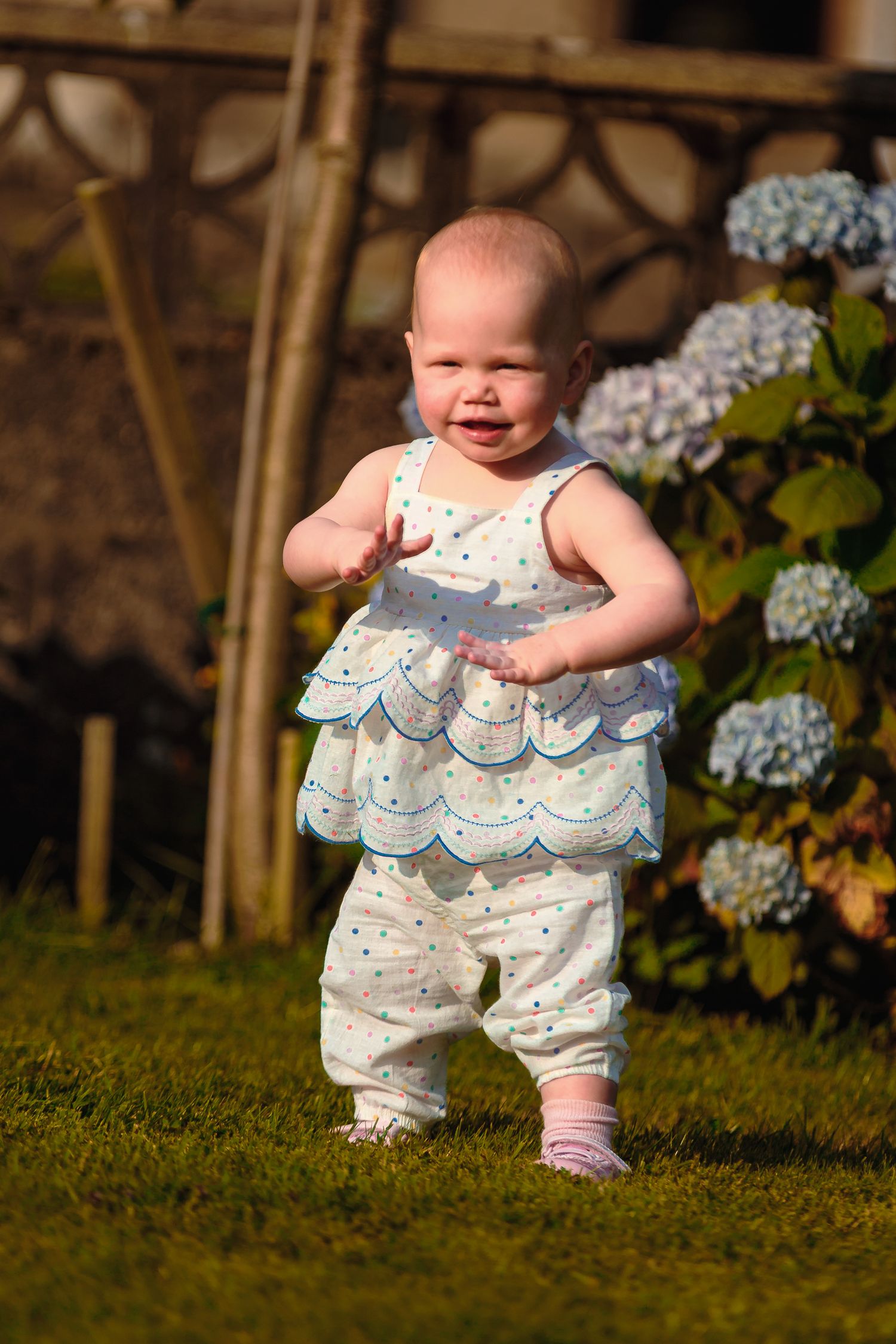 Adorable baby girl in white polka dot outfit taking first steps on green grass with hydrangea flowers in background.