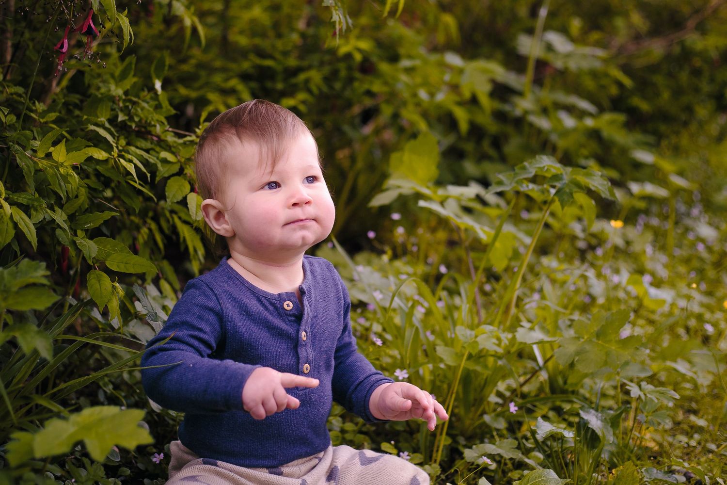Cute baby boy in blue cardigan sitting outdoors among vibrant green plants and foliage by Orkney Family Photographer