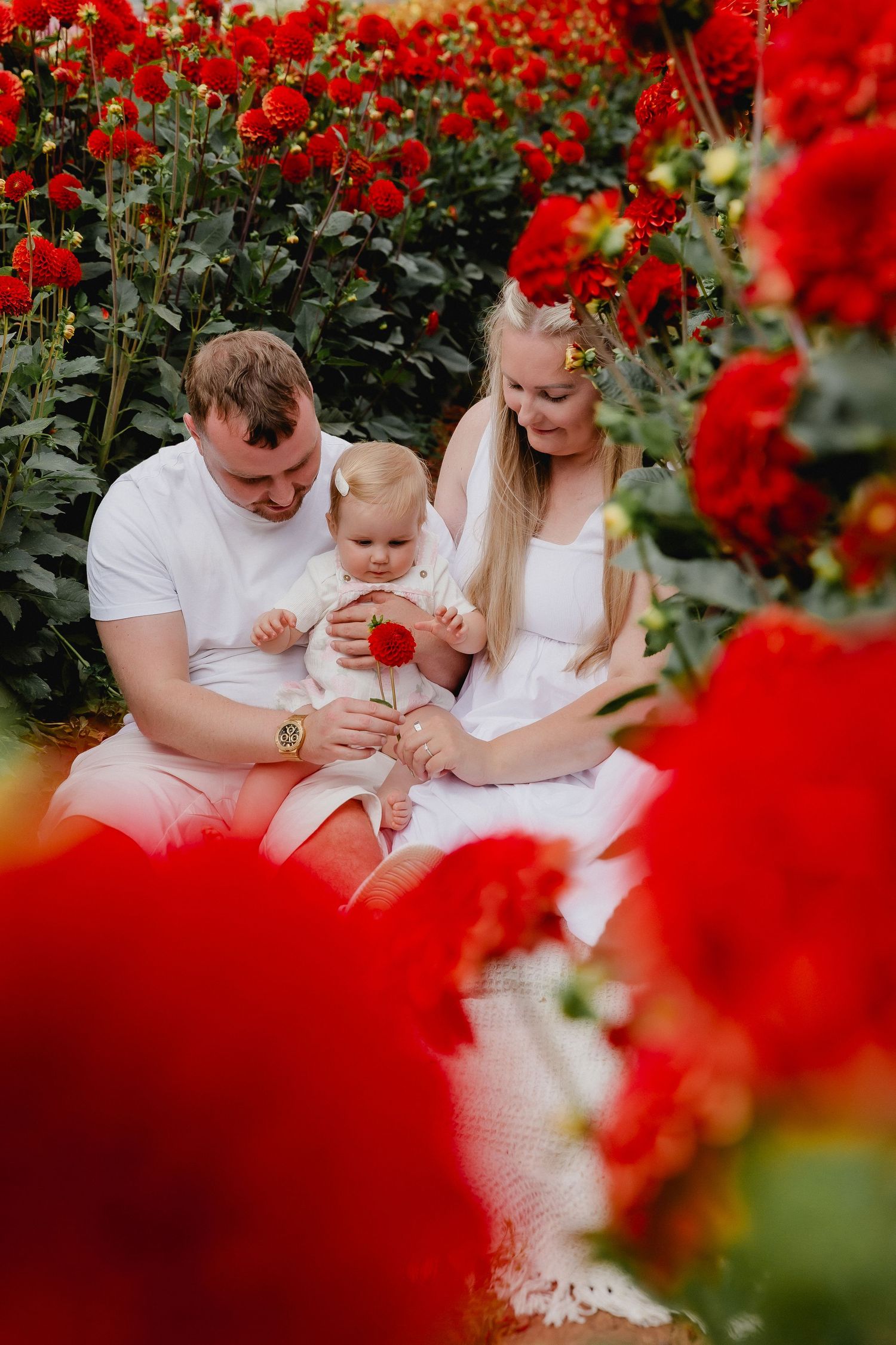A young family in white clothing sits together among vibrant red flowers in a garden.