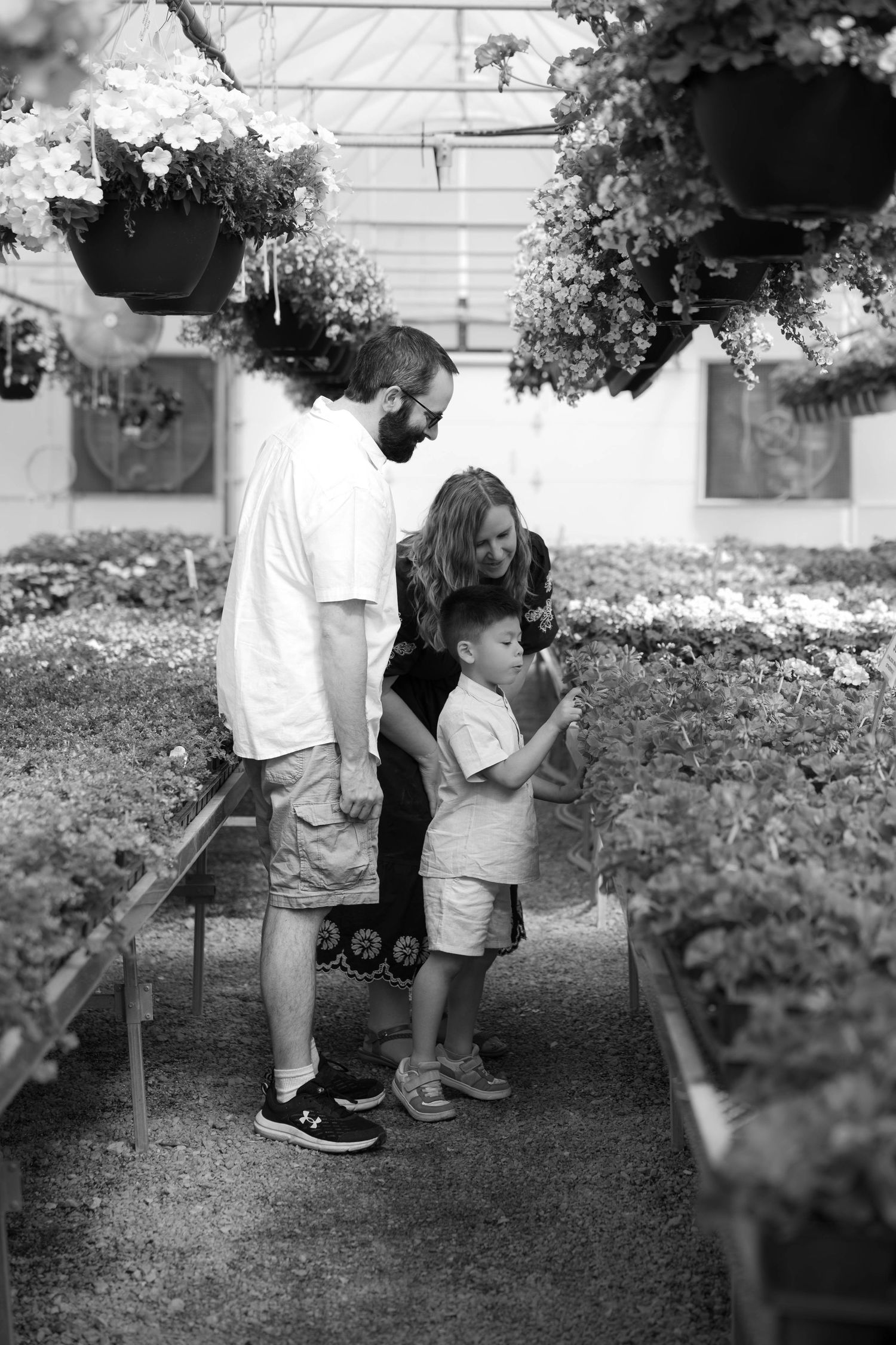 Black and white photo of family with young boy exploring a flower greenhouse with hanging baskets overhead.