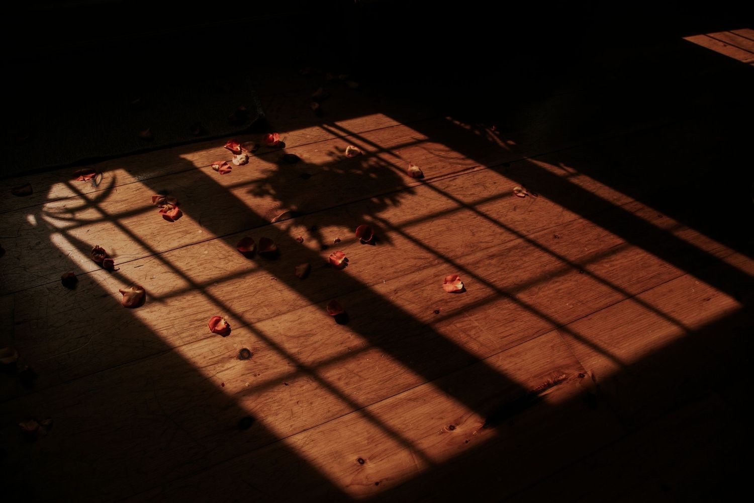 Dramatic window shadow patterns cast on dark wooden floor in moody lighting.