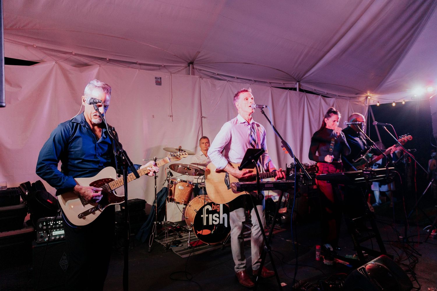 Live band performs at wedding reception with instruments and lighting equipment.