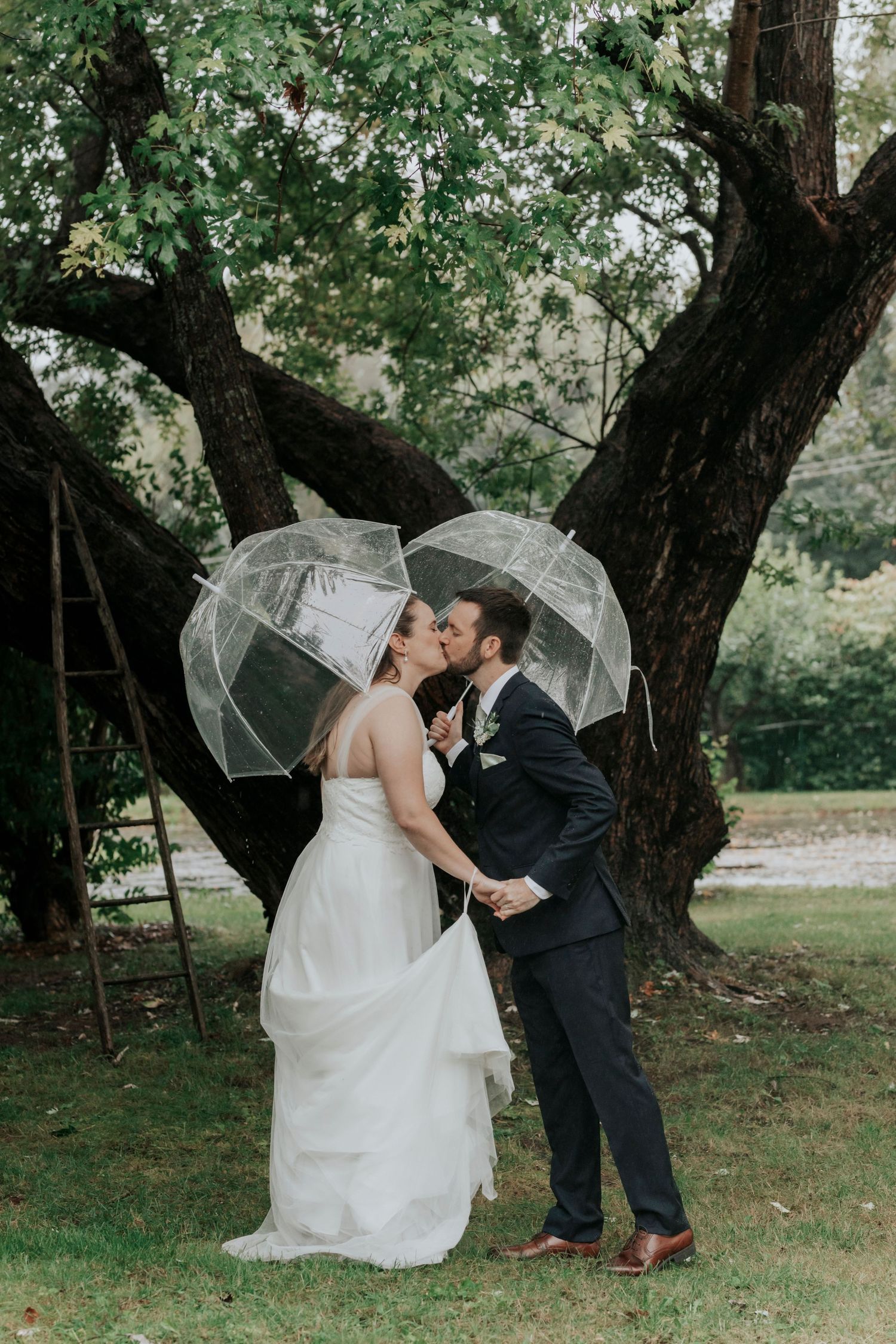 Bride and groom kissing under clear bubble umbrellas in the rain beside a large tree on their wedding day.