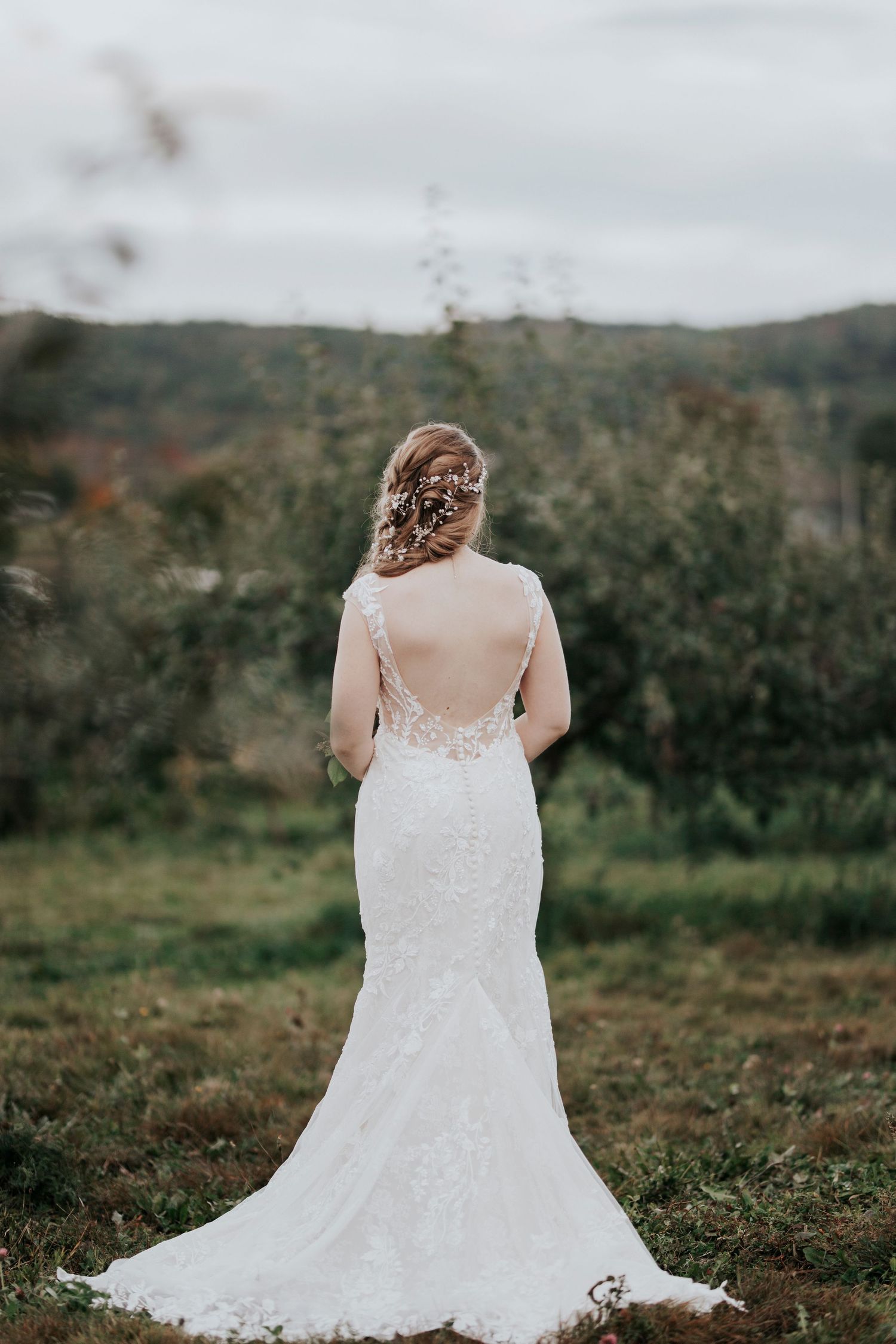 Back view of fitted lace wedding gown with elegant train against pastoral landscape.