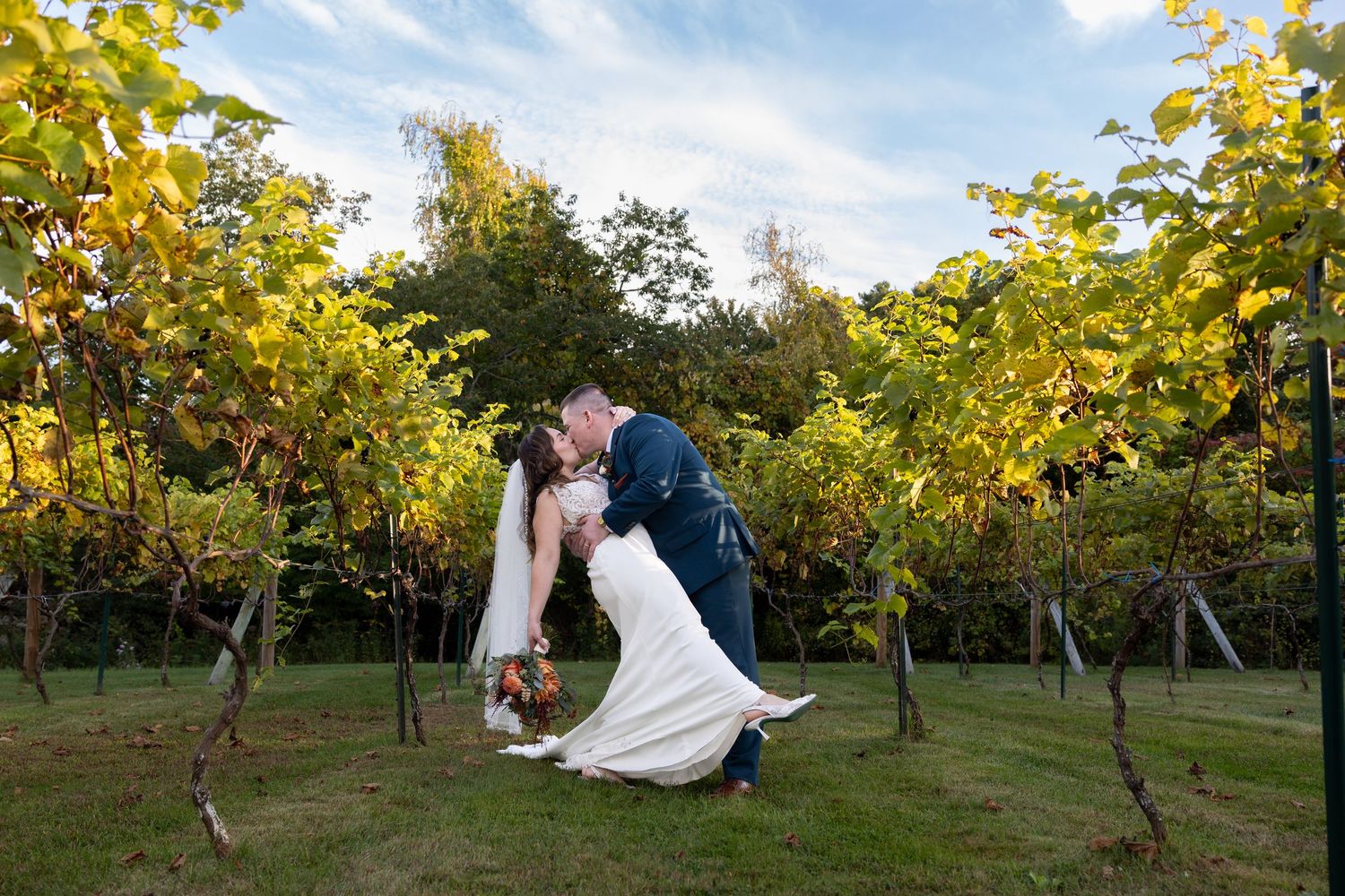 Bride and groom share a romantic dip kiss among lush green vineyard rows under a blue sky.