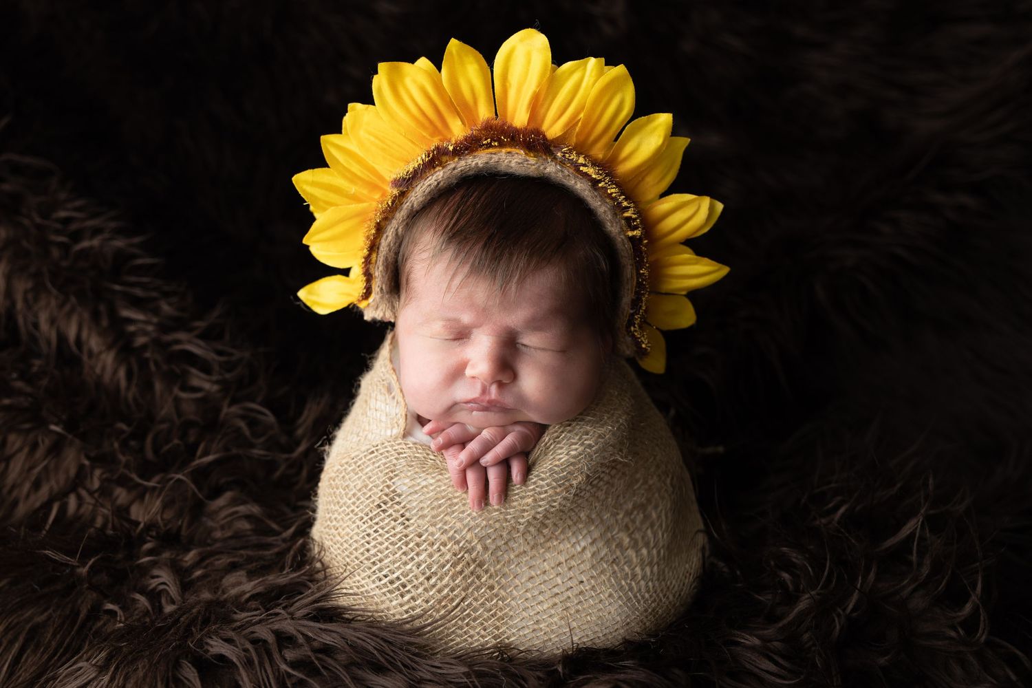 Newborn baby wrapped in burlap swaddle wearing a yellow sunflower headband, sleeping on dark brown fur.