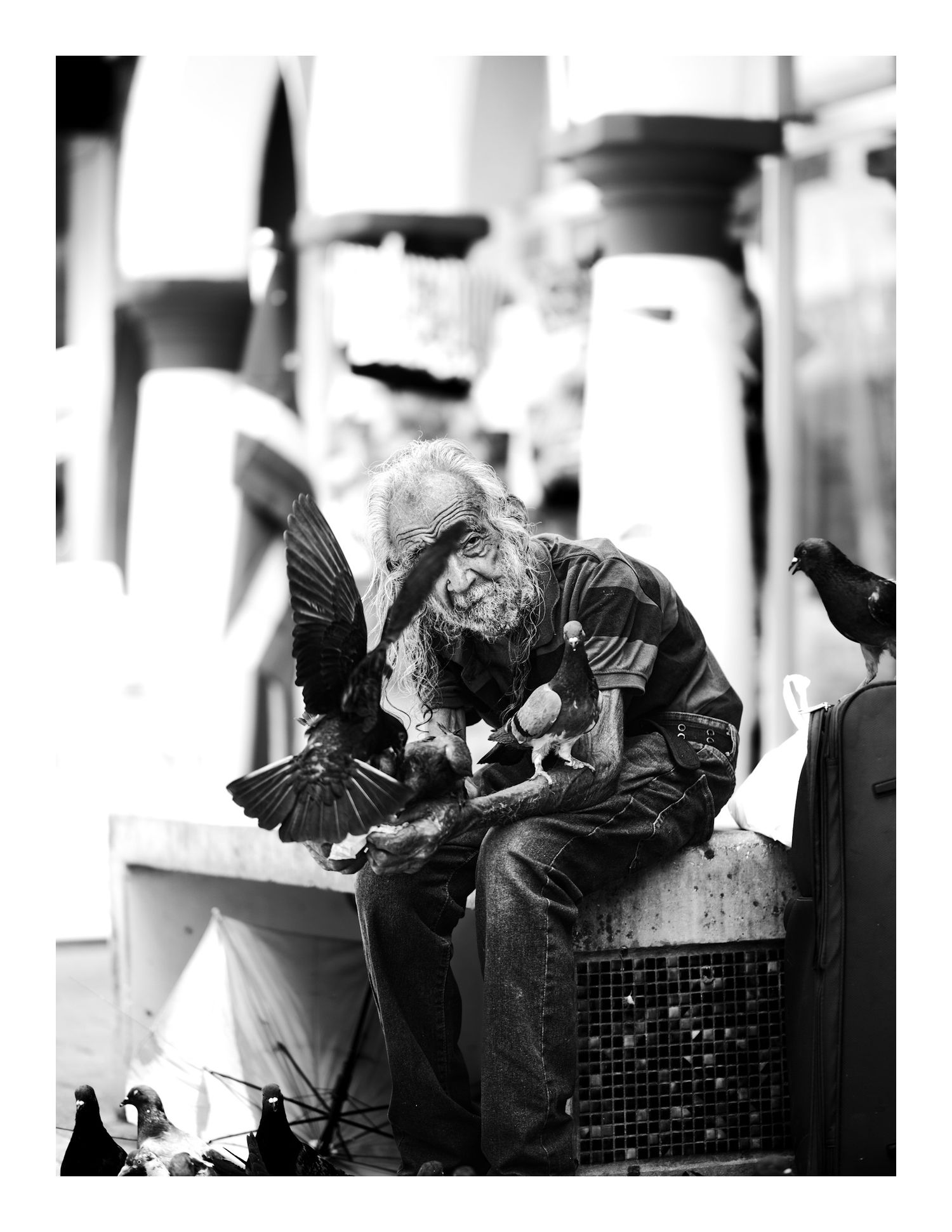 Elderly man feeding pigeons outdoors, black and white street photography.