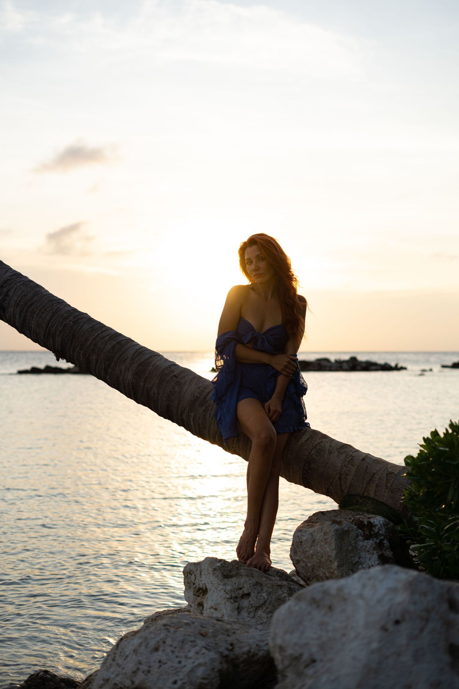 Woman in flowing blue dress poses on leaning palm tree with golden sunset ocean backdrop.